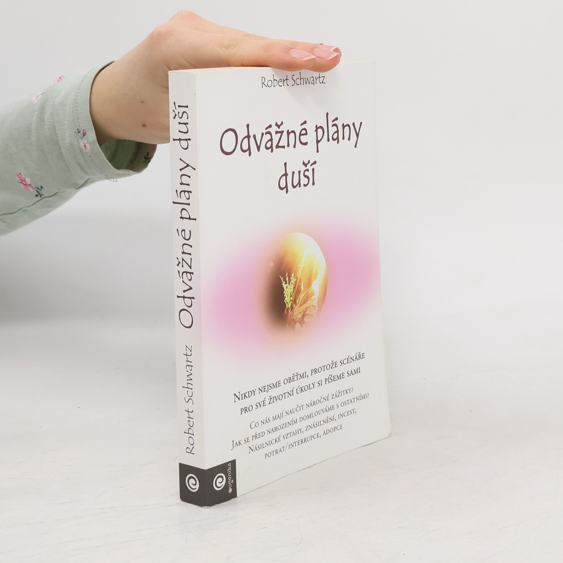 Robert Schwartz Odvážné plány duší