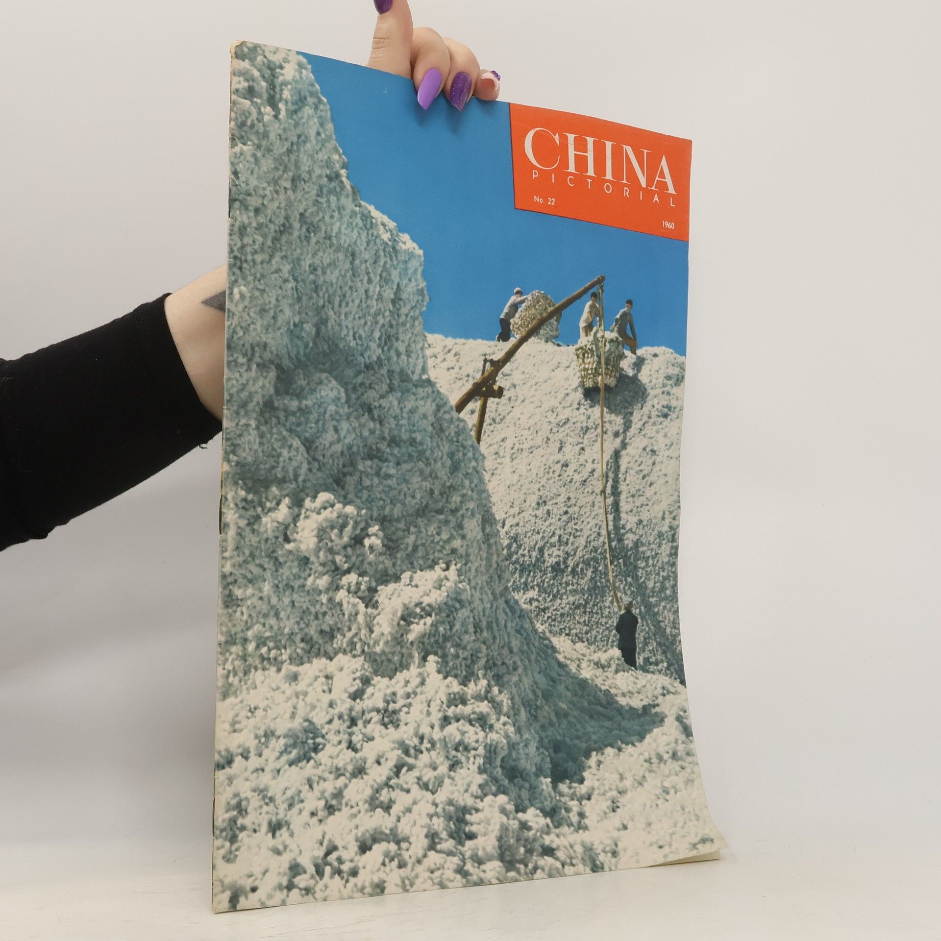 Autorenkollektiv China Pictorial 22