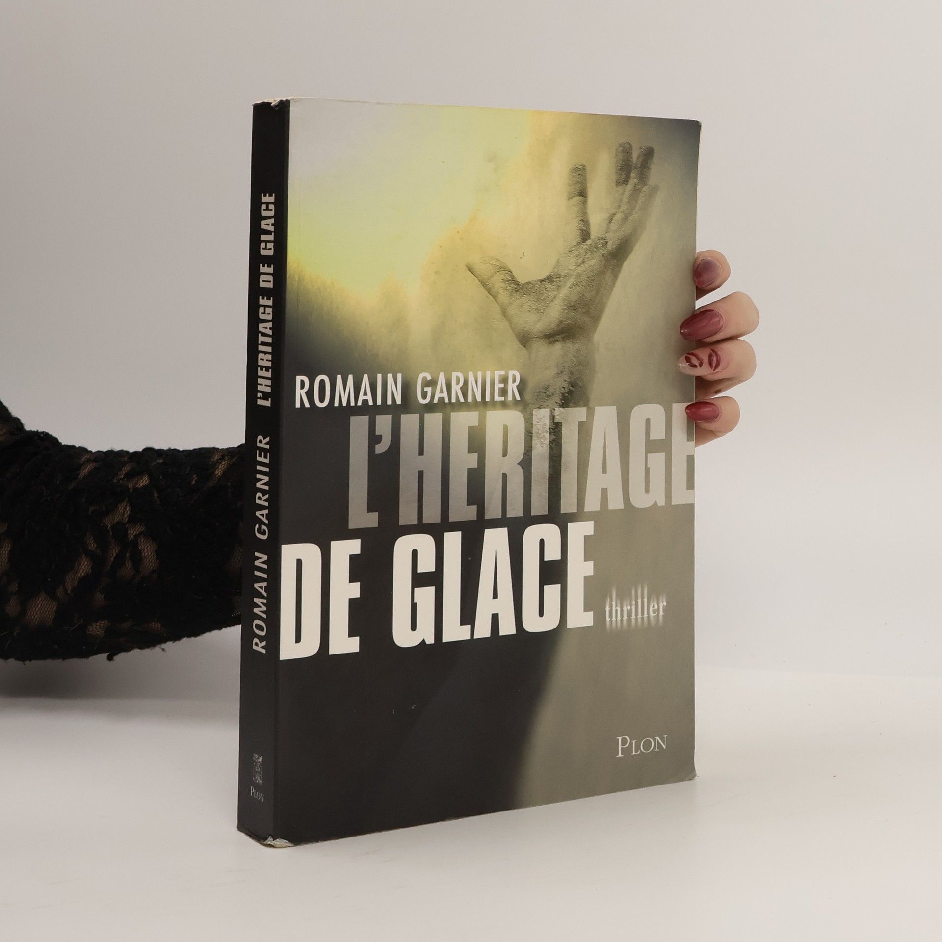 Romain Garnier L'héritage de glace