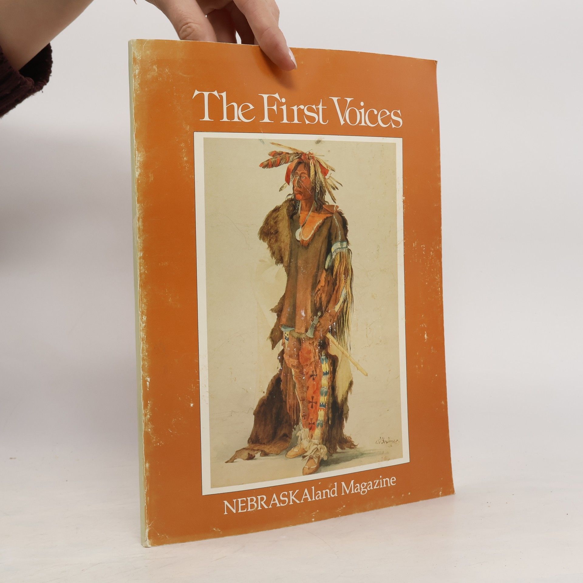 Karl Bodmer The First Voices