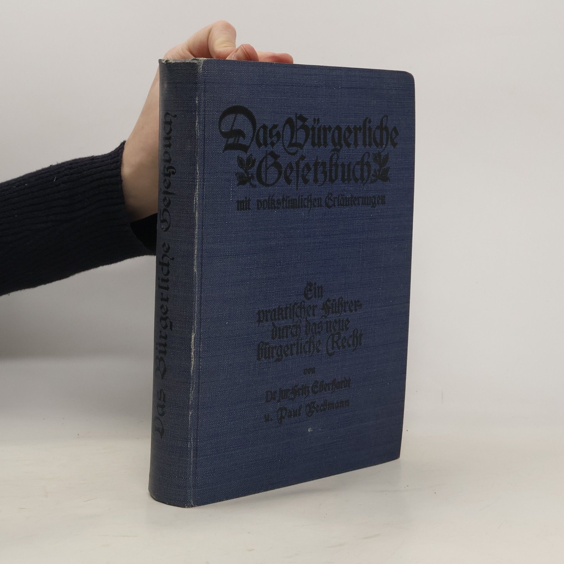 Der praktische Führer durch das neue bürgerliche Recht