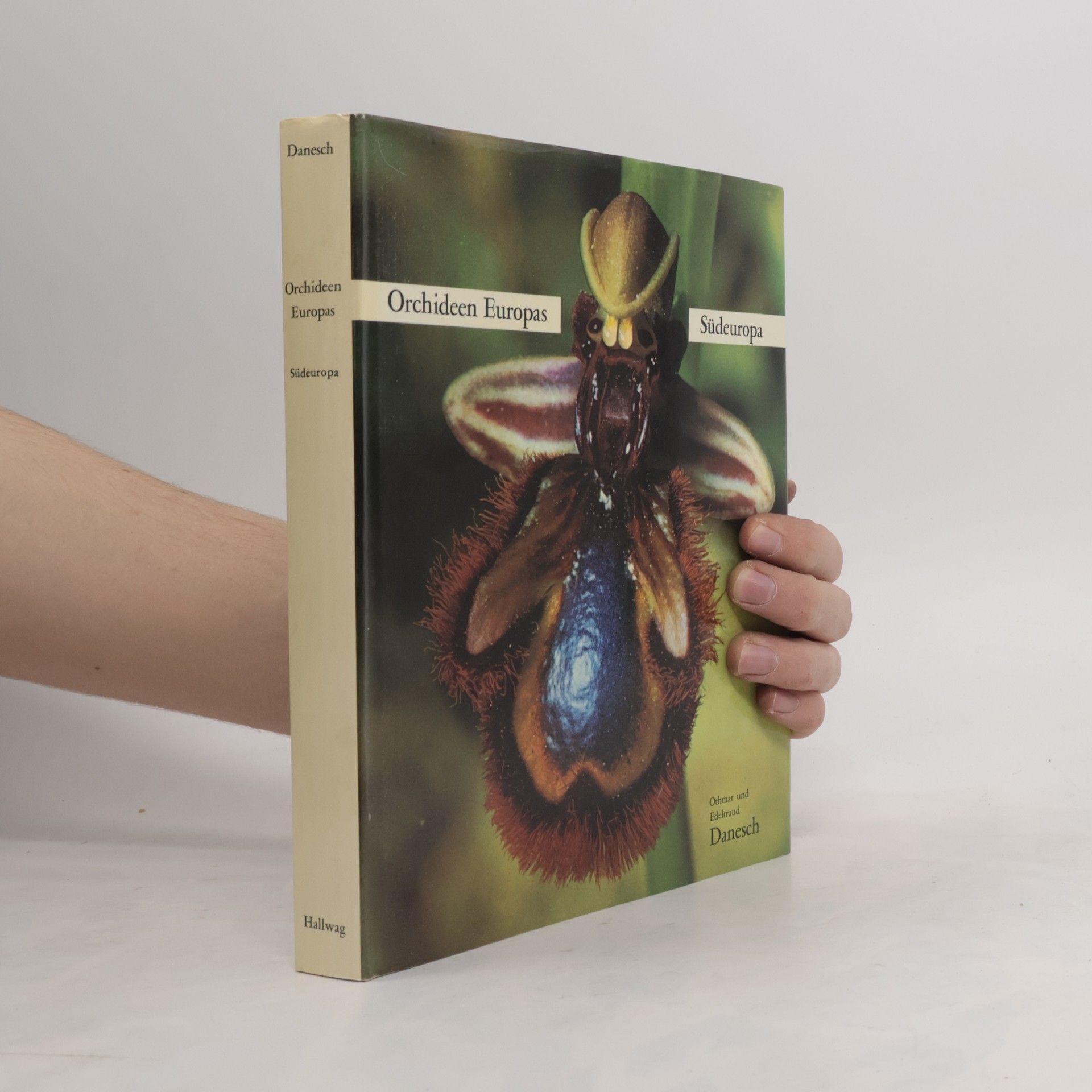 Orchideen Europas - Südeuropa