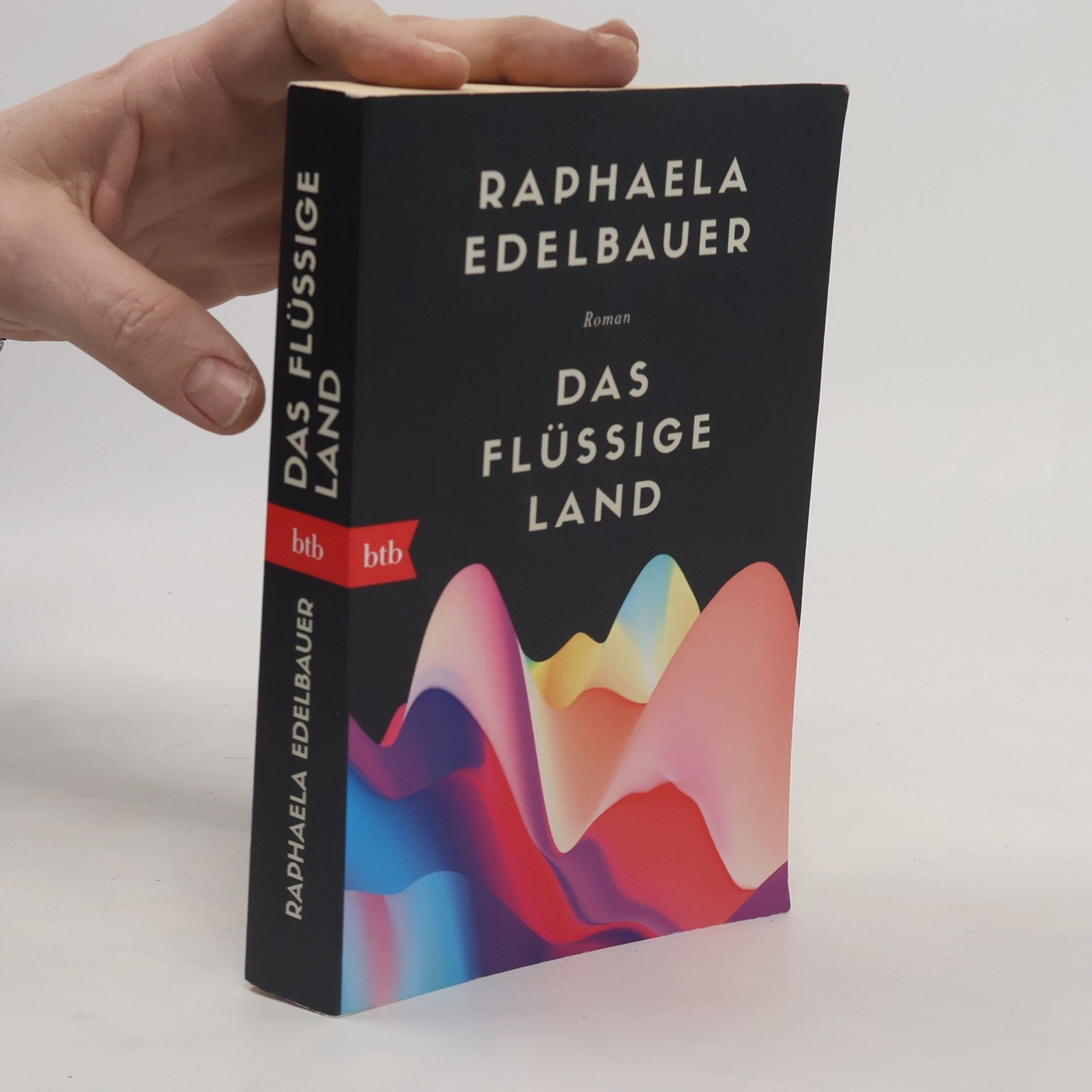Raphaela Edelbauer Das flüssige Land