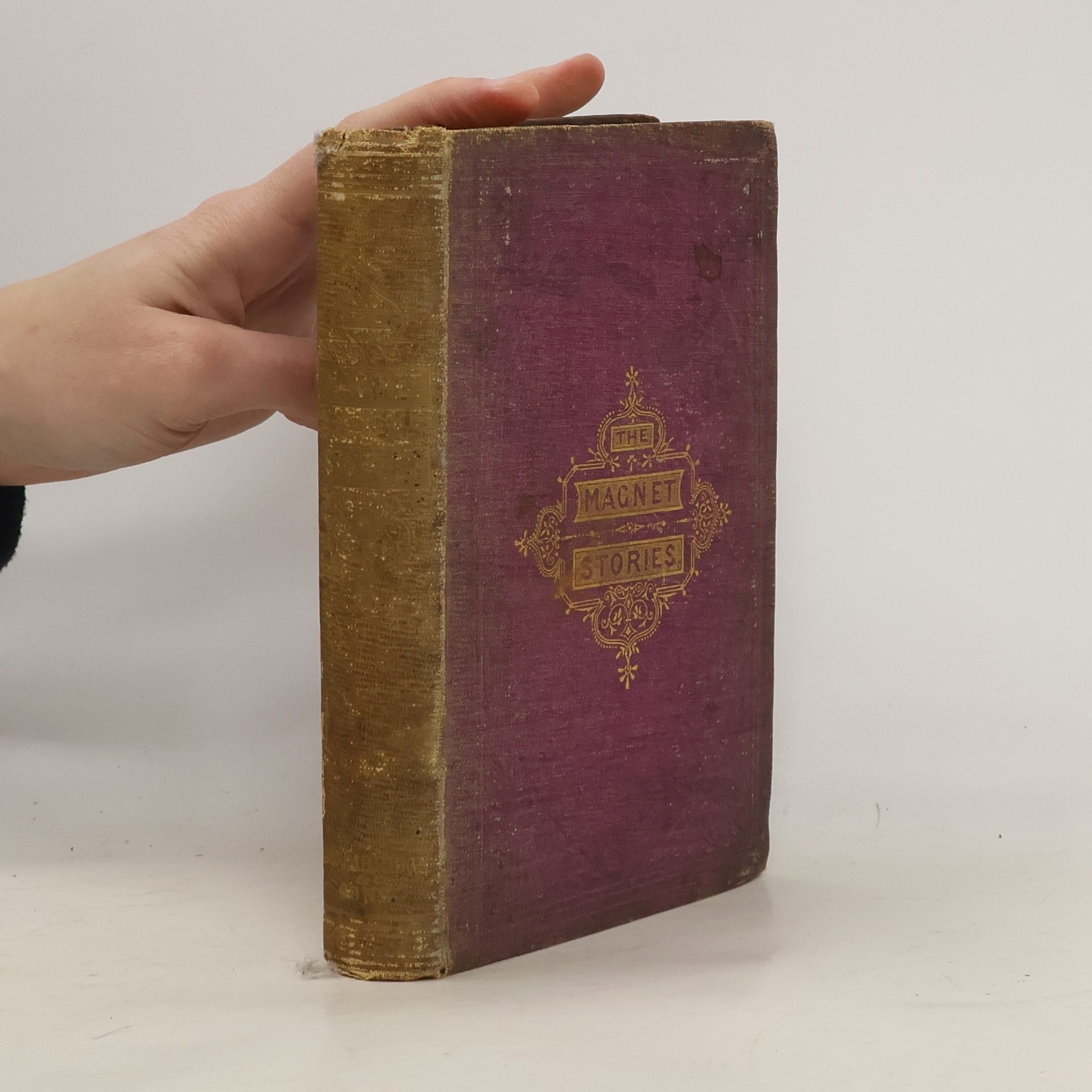 Kolektiv autorů The Magnet Stories for Summer Days and Winter Nights