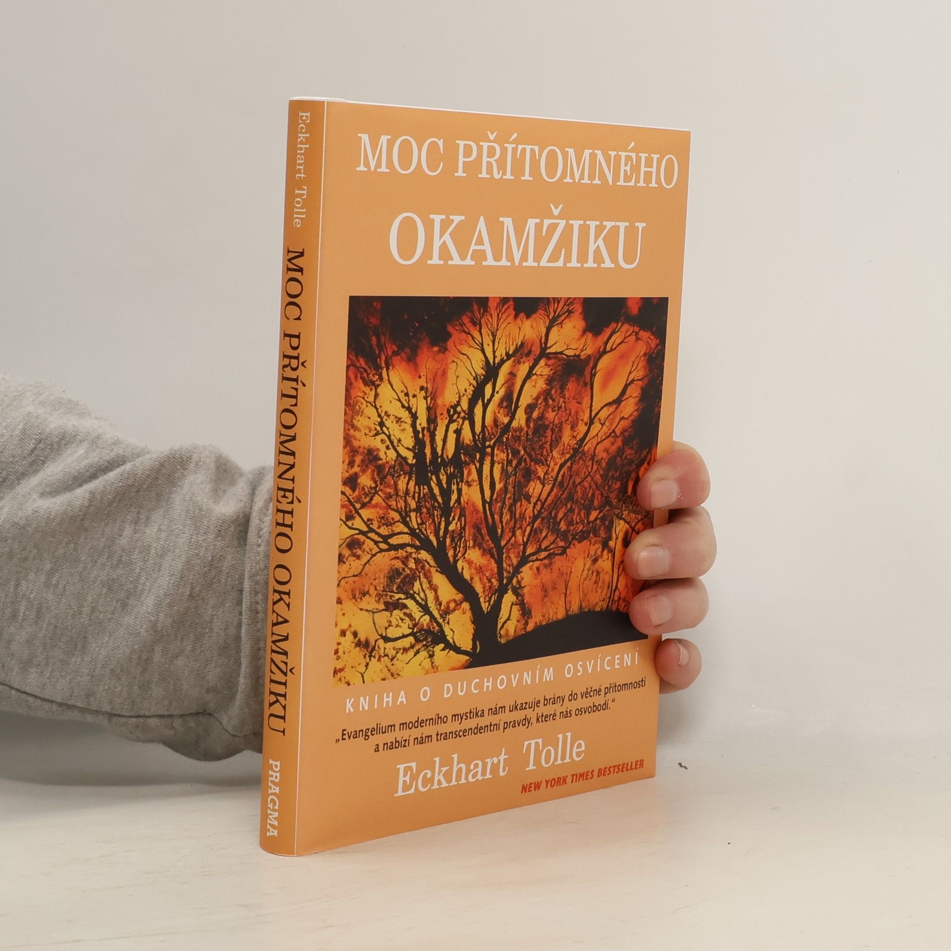 Moc přítomného okamžiku