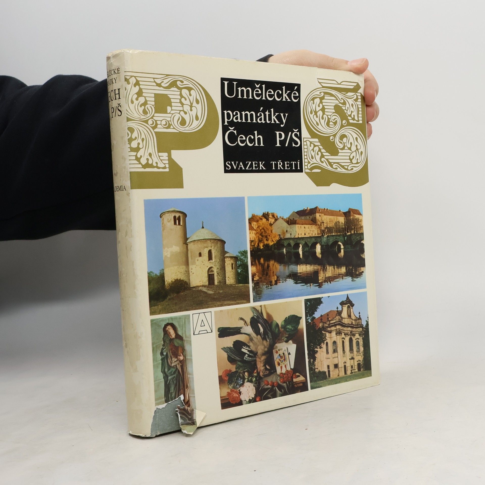 Kolektív autorov Umělecké památky Čech 3. P-Š