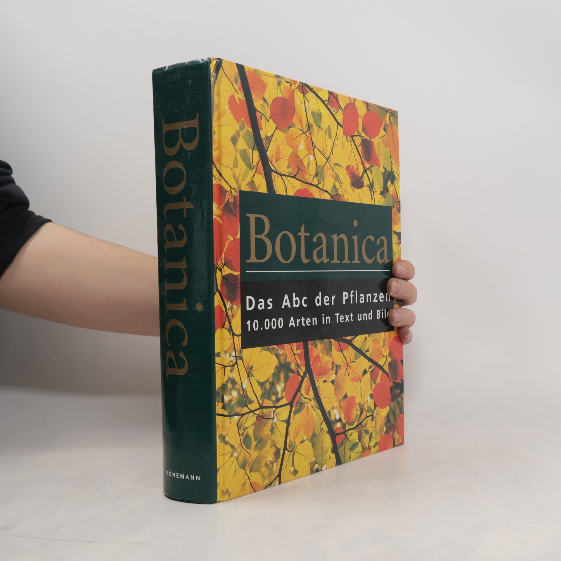 Gordon Cheers Botanica