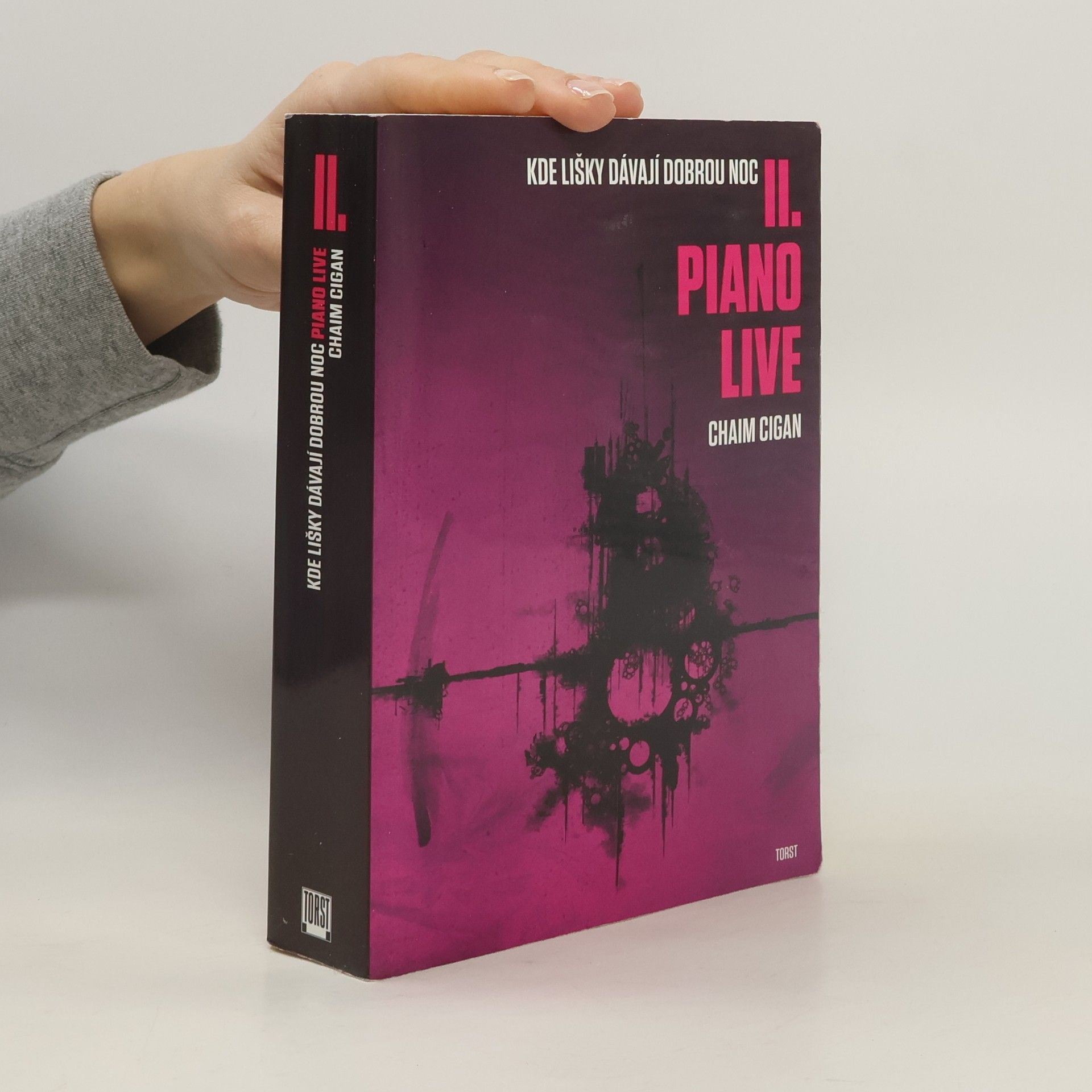 Karol Sidon Kde lišky dávají dobrou noc II. Piano live