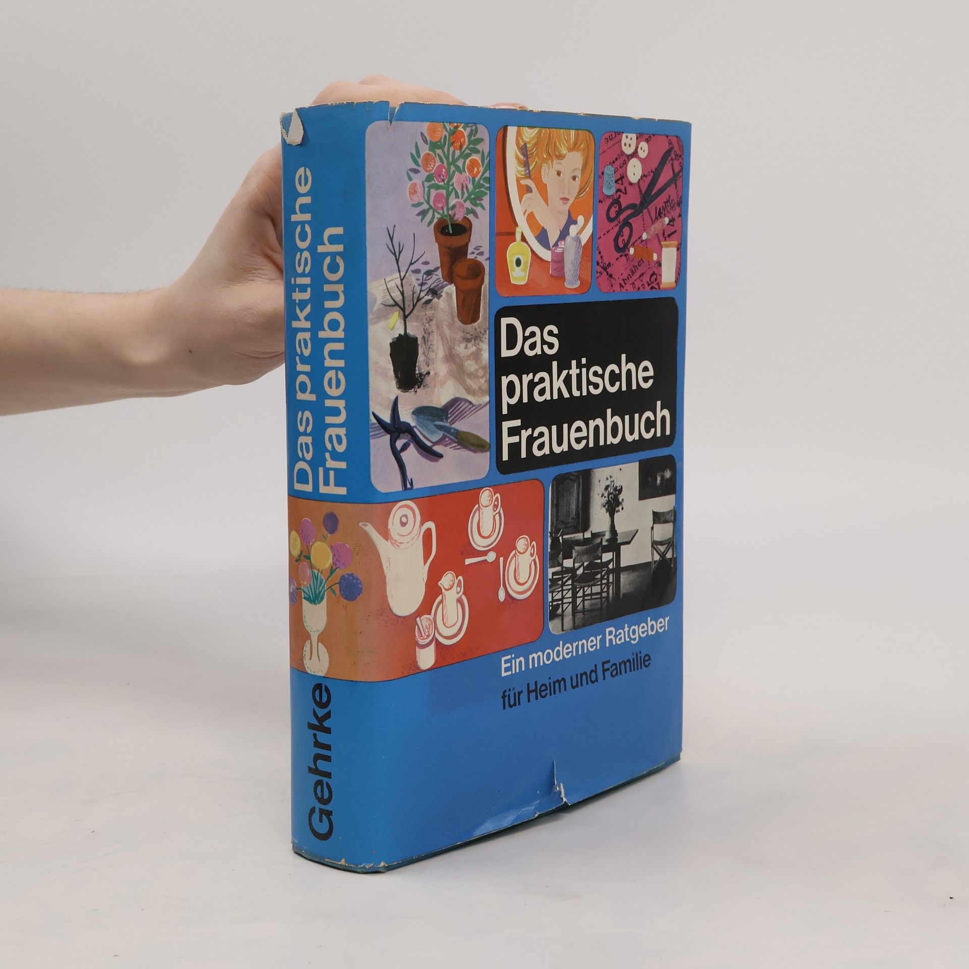 Autorenkollektiv Das praktische Frauenbuch