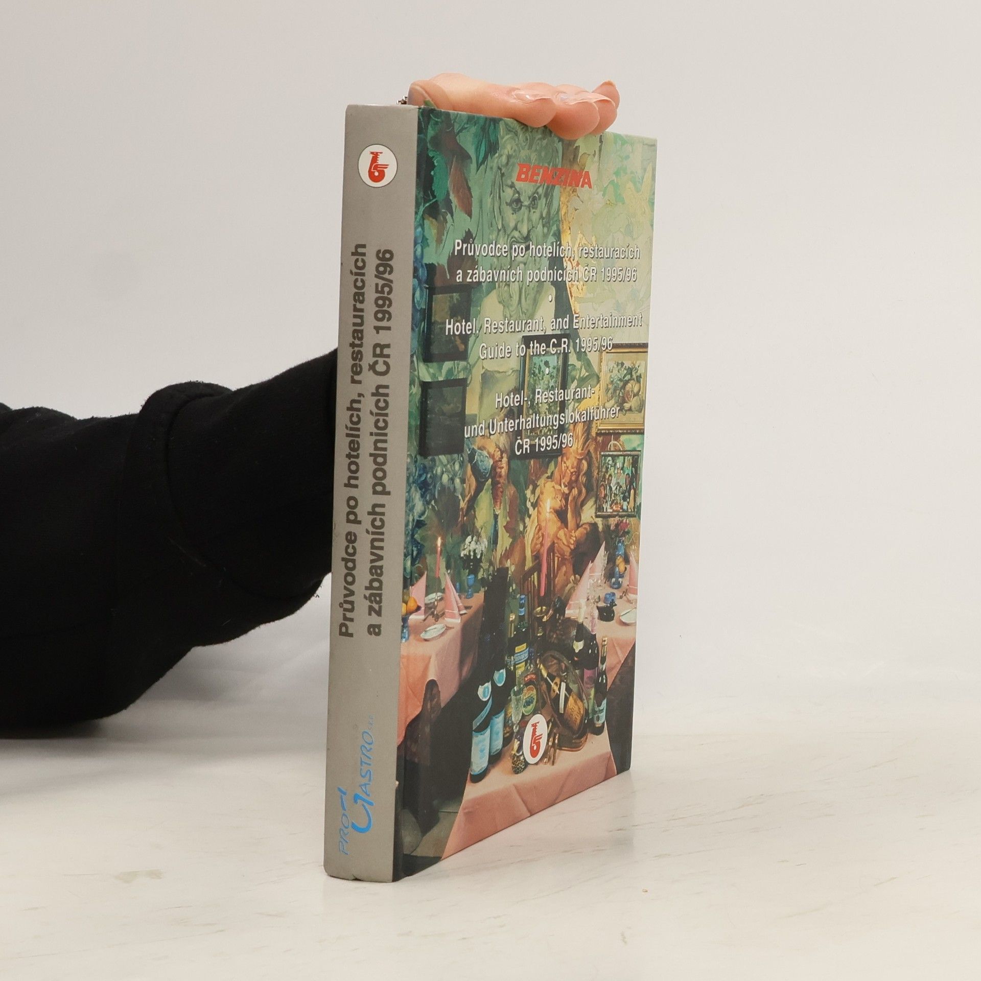 Kolektiv autorů Průvodce po hotelích, restauracích a zábavních podnicích ČR 1995/96