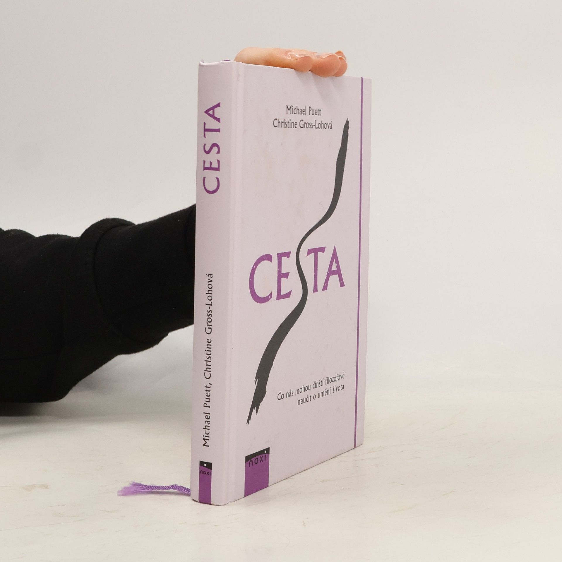 Michael Puett Cesta: Co nás mohou čínští filozofové naučit o umění života