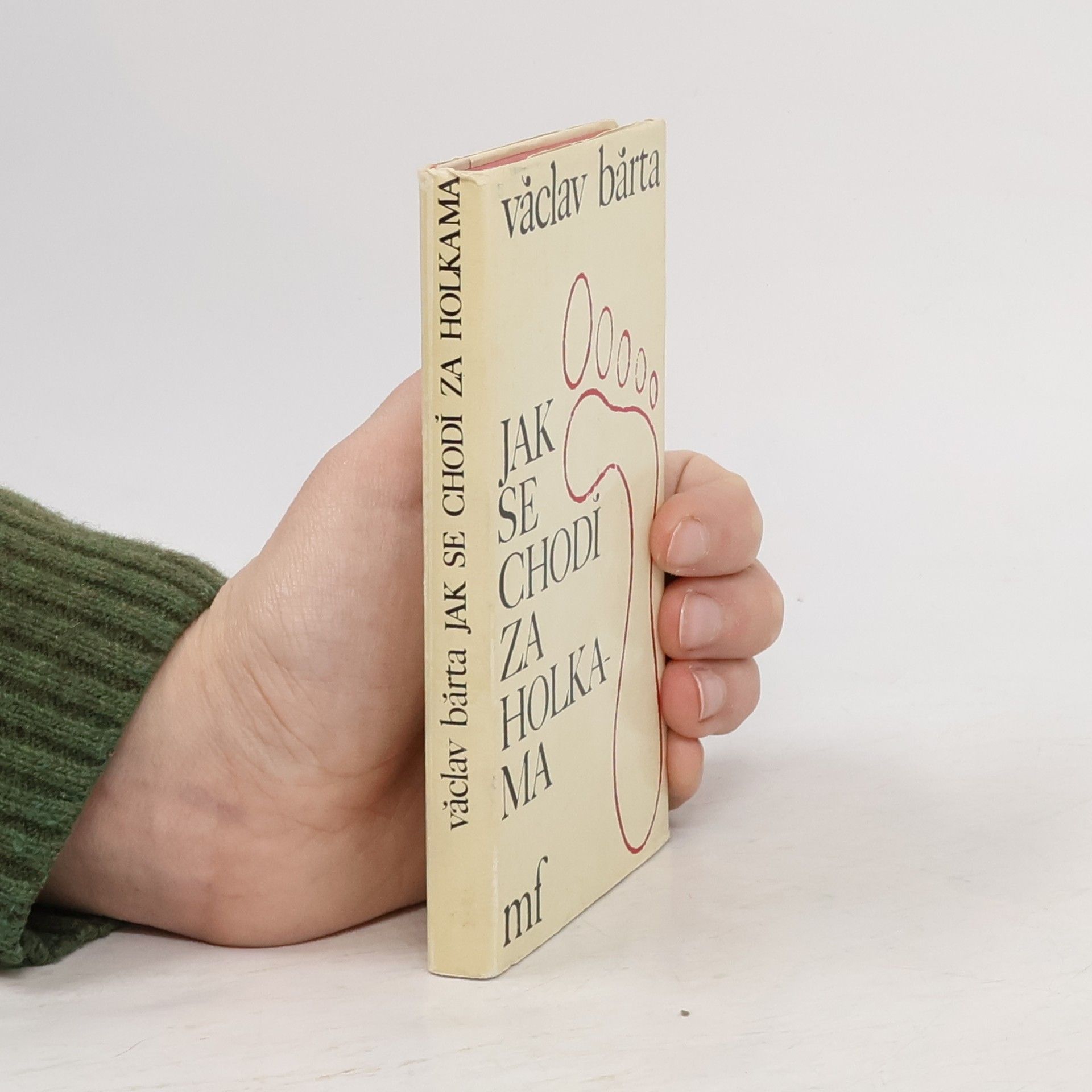 Jak se chodí za holkama