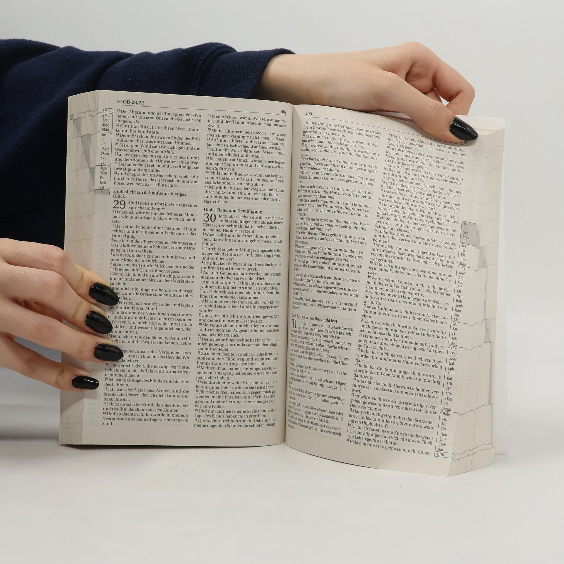 Collectif d'auteurs Die Bibel. Gott spricht. Heute.
