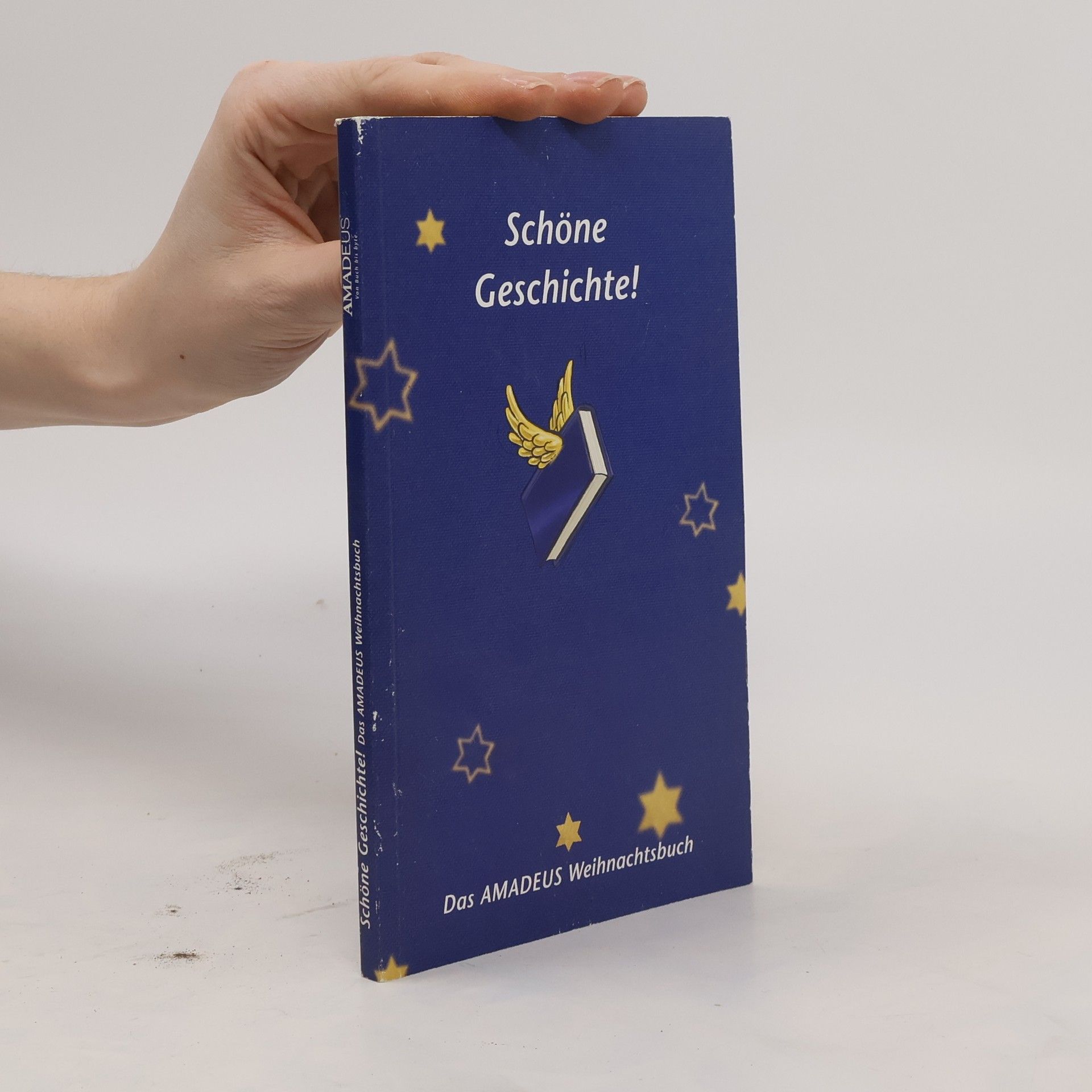 Autorenkollektiv Schöne Geschichte!