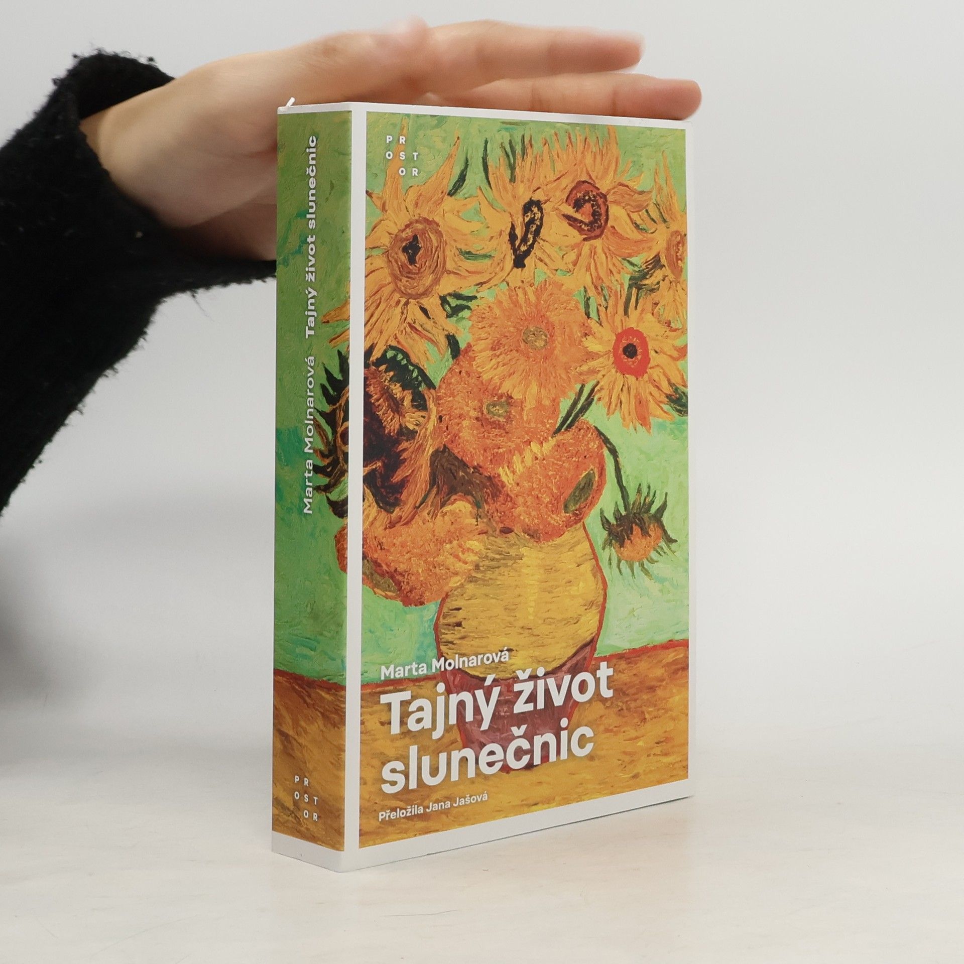 Marta Molnar Tajný život slunečnic