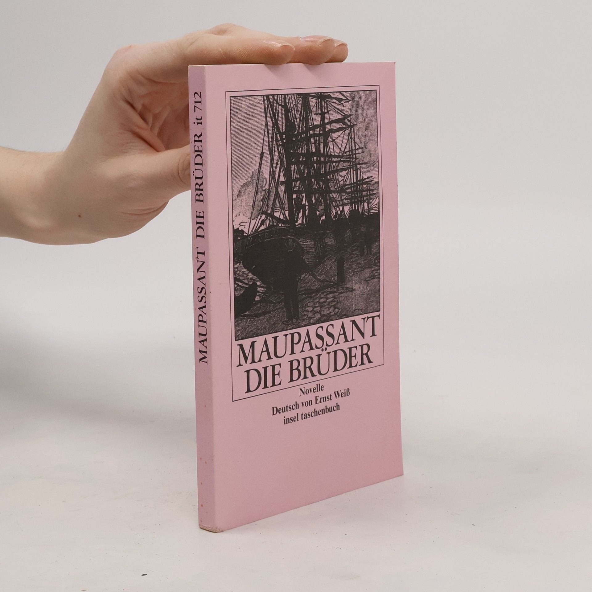 Guy de Maupassant Die Brüder