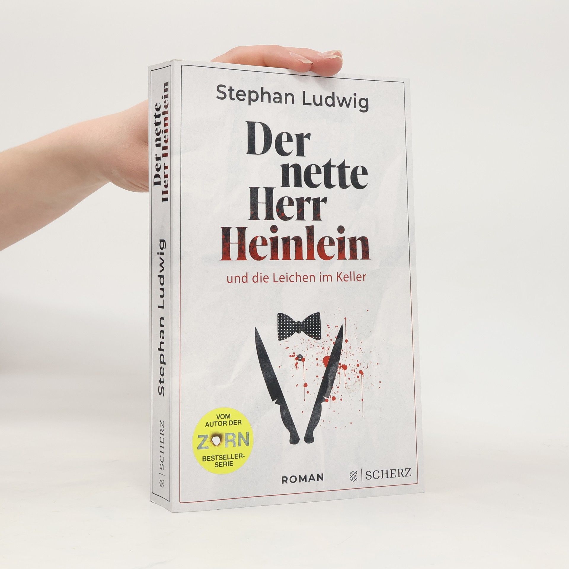 Stephan Ludwig Der nette Herr Heinlein und die Leichen im Keller