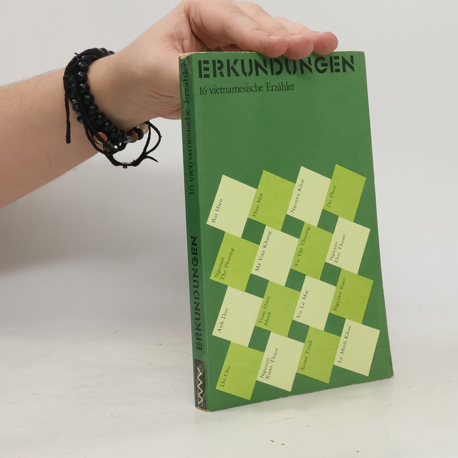 Erkundungen. 16 vietnamesische Erzähler