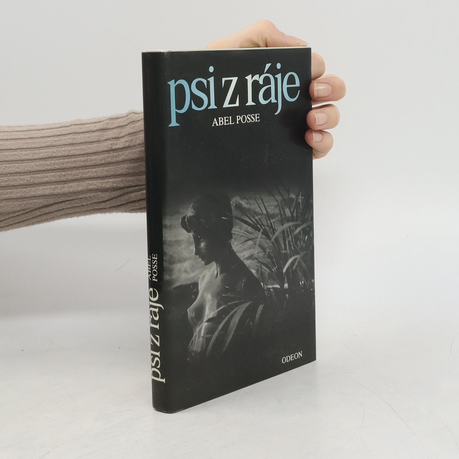 Abel Posse Psi z ráje