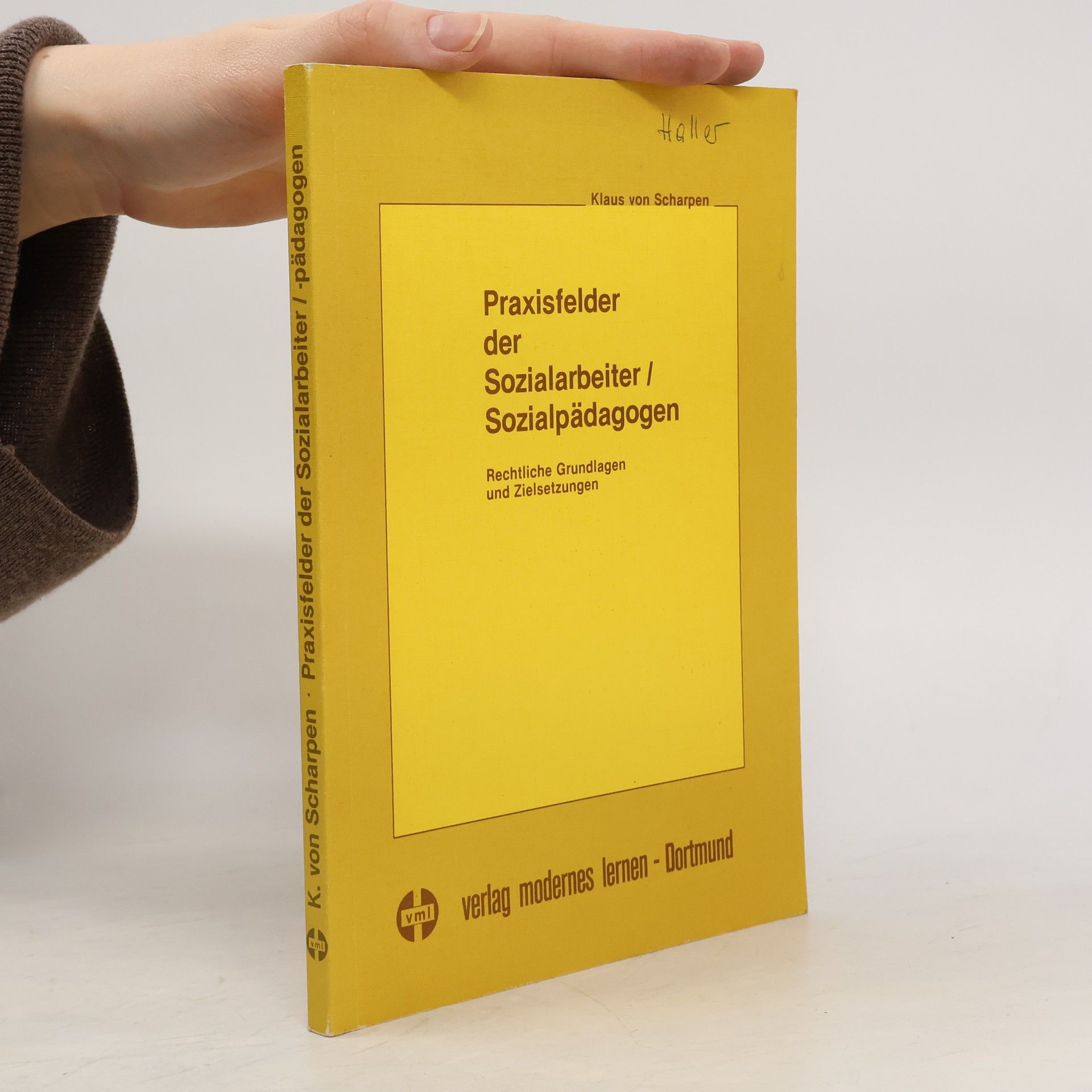 Praxisfelder der Sozialarbeiter, Sozialpädagogen