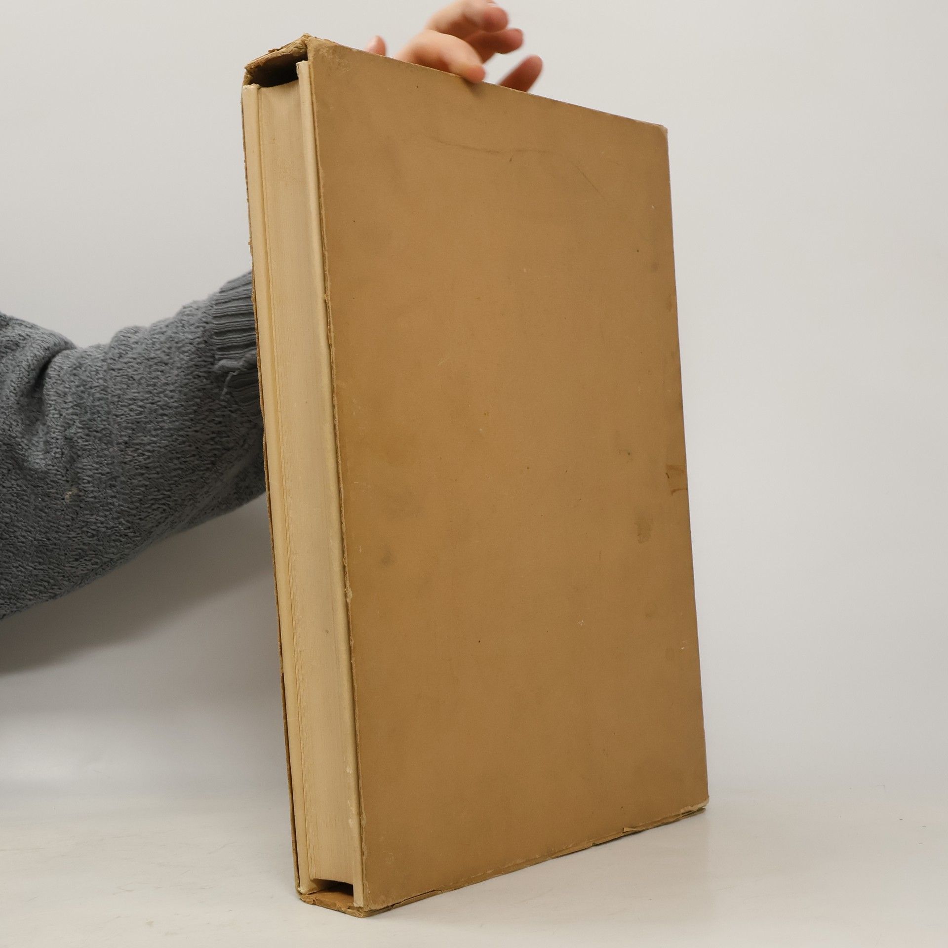 Karolinum. Statek národní