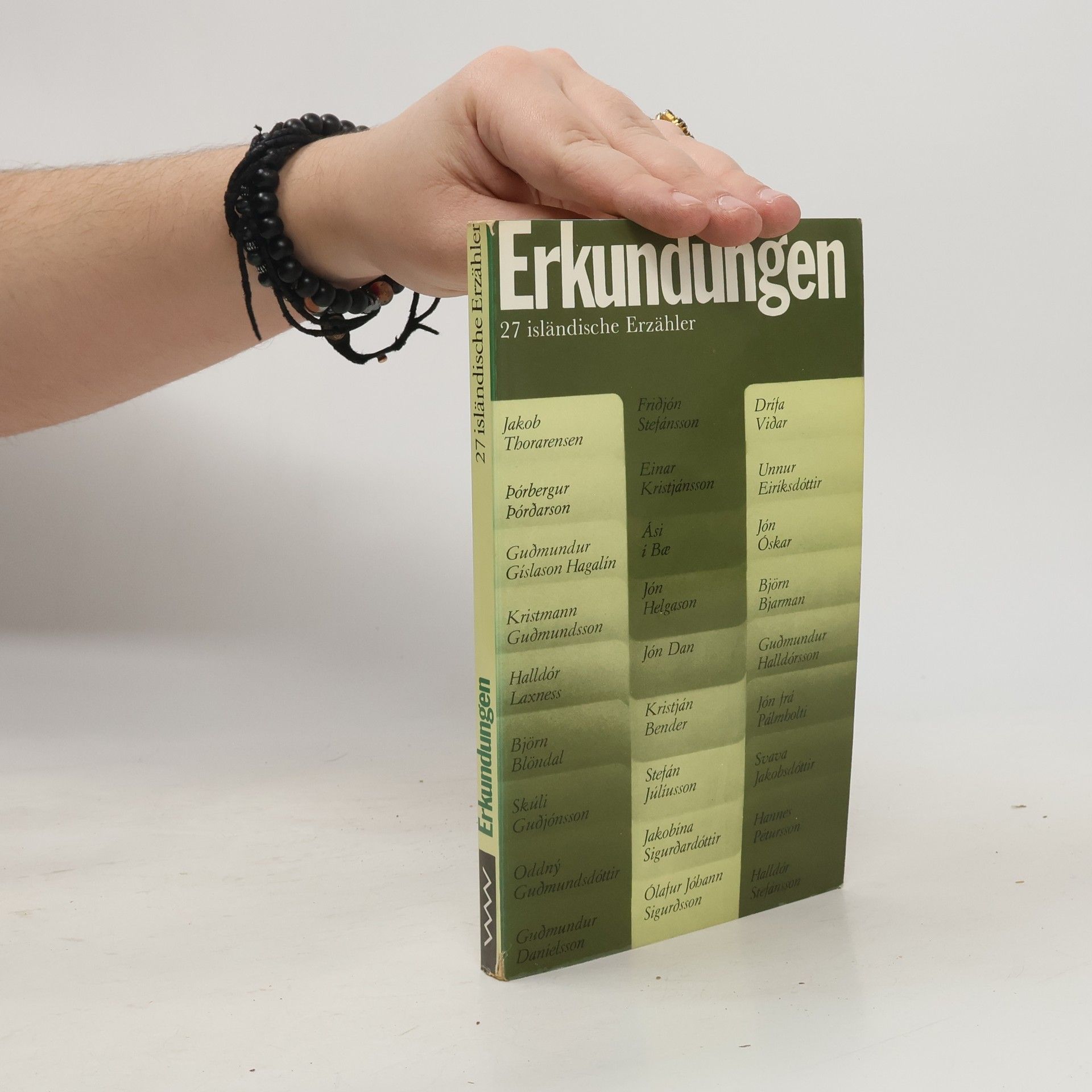 Erkundungen: 27 isländische Erzähler