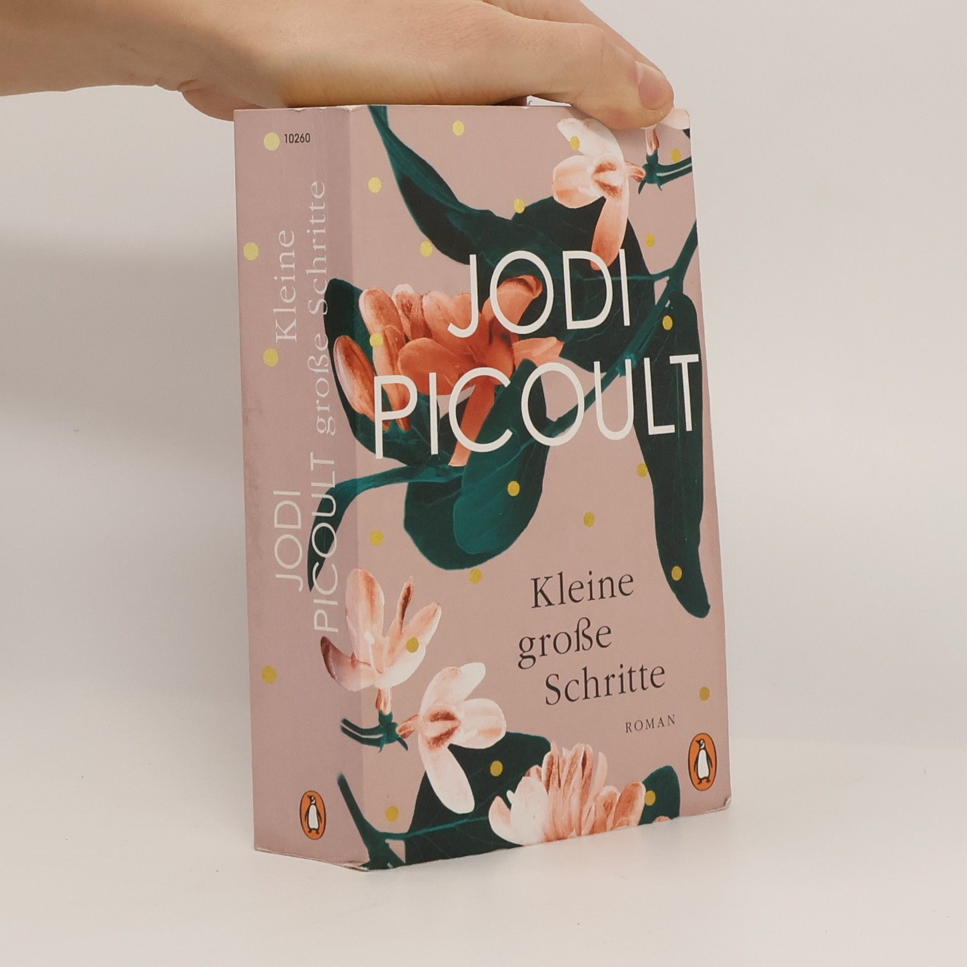 Jodi Picoult Kleine große Schritte