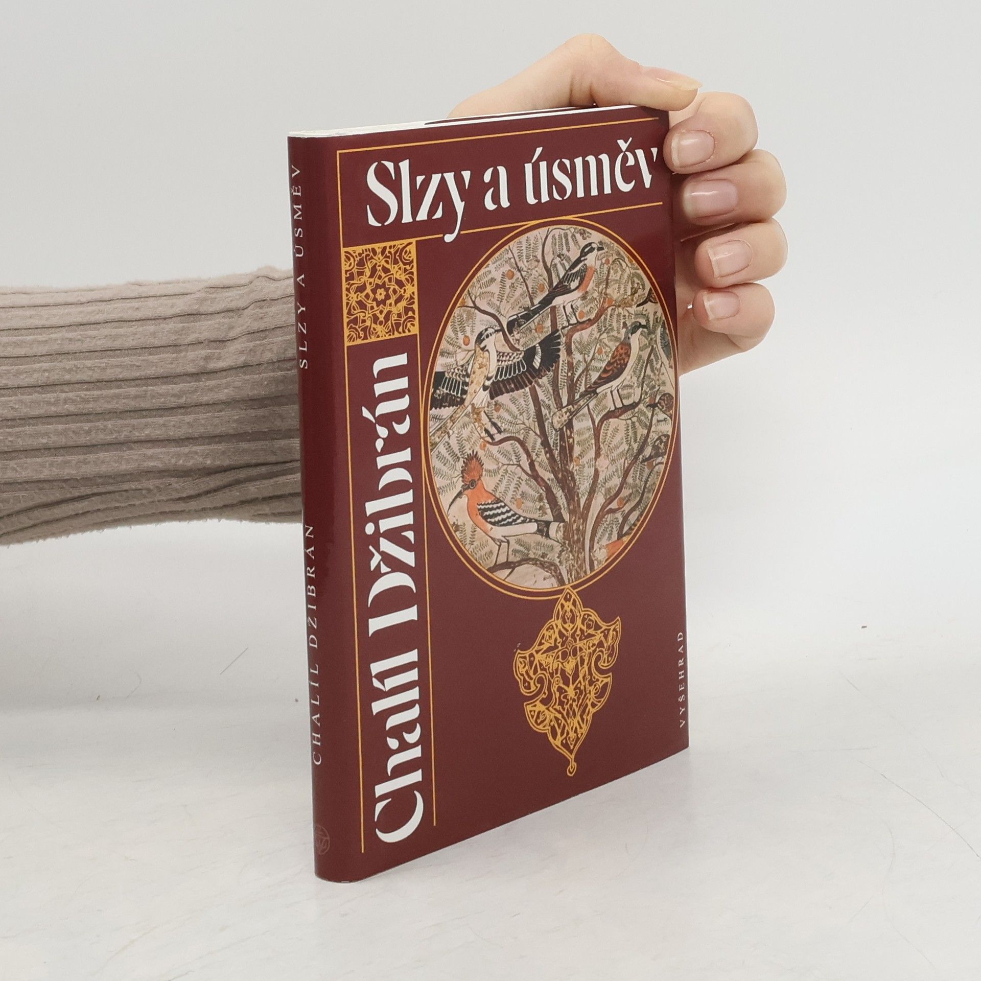 Chalíl Džibrán Slzy a úsměv