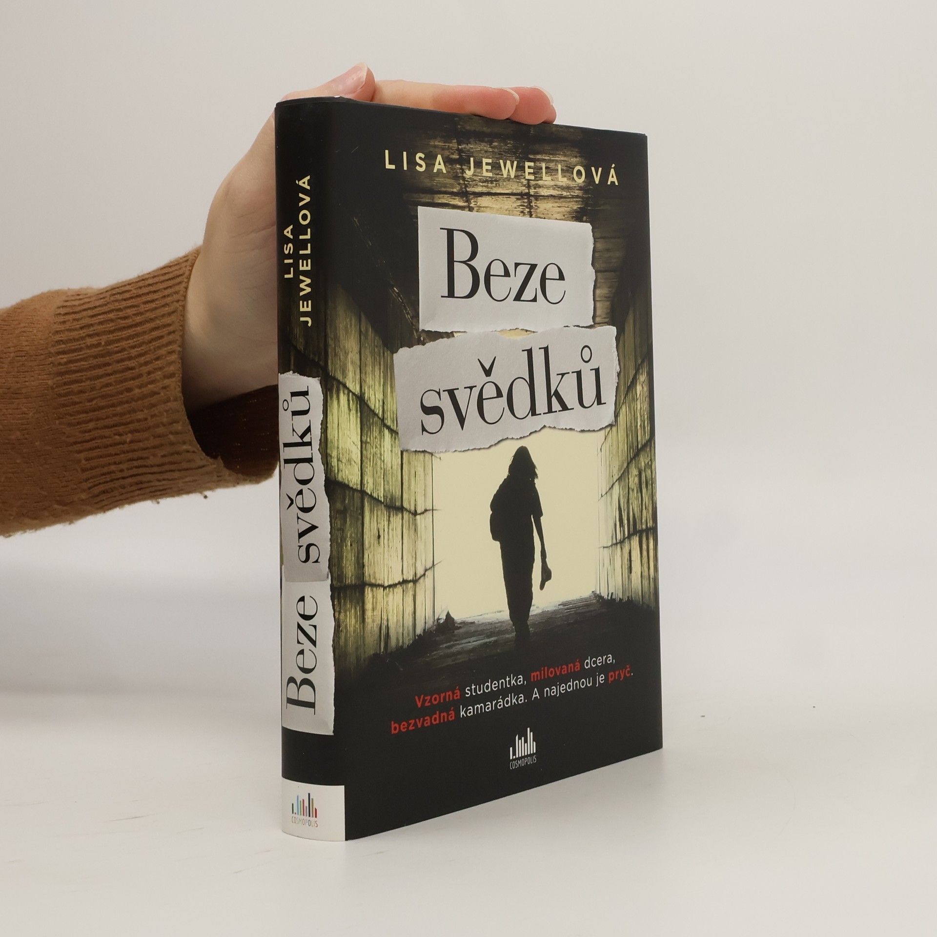 Lisa Jewell Beze svědků