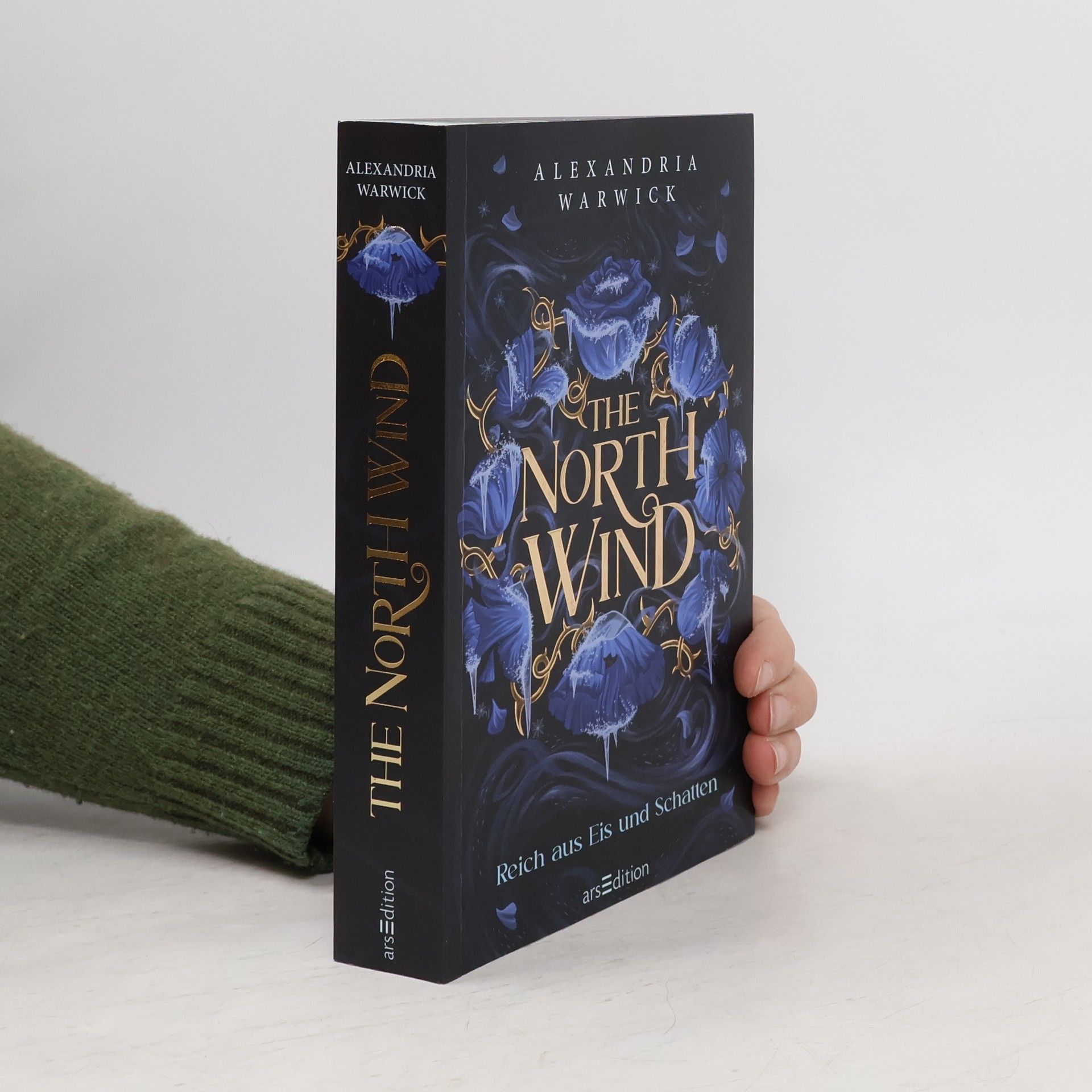 The North Wind - Reich aus Eis und Schatten