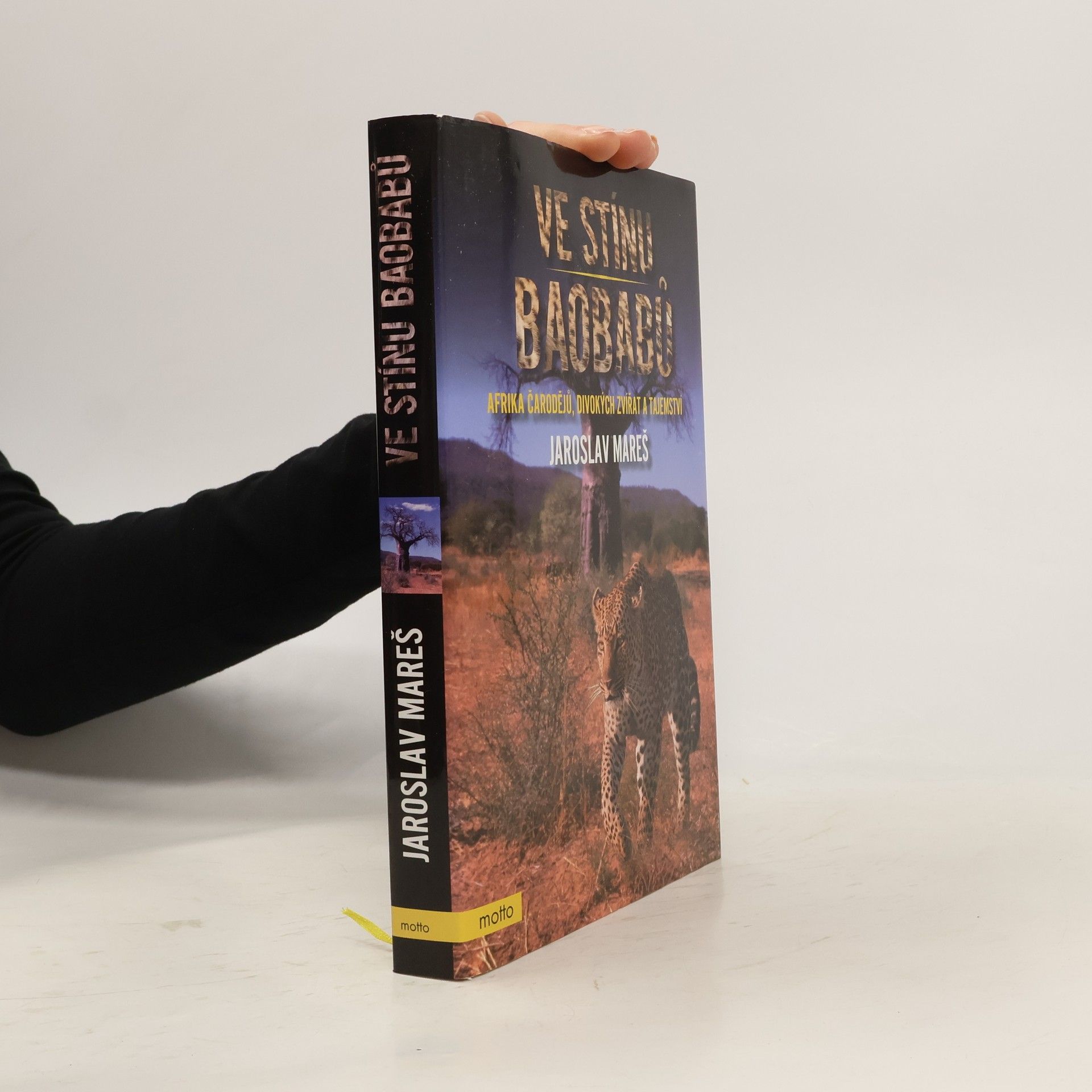 Ve stínu baobabů. Afrika čarodějů, divokých zvířat a tajemství