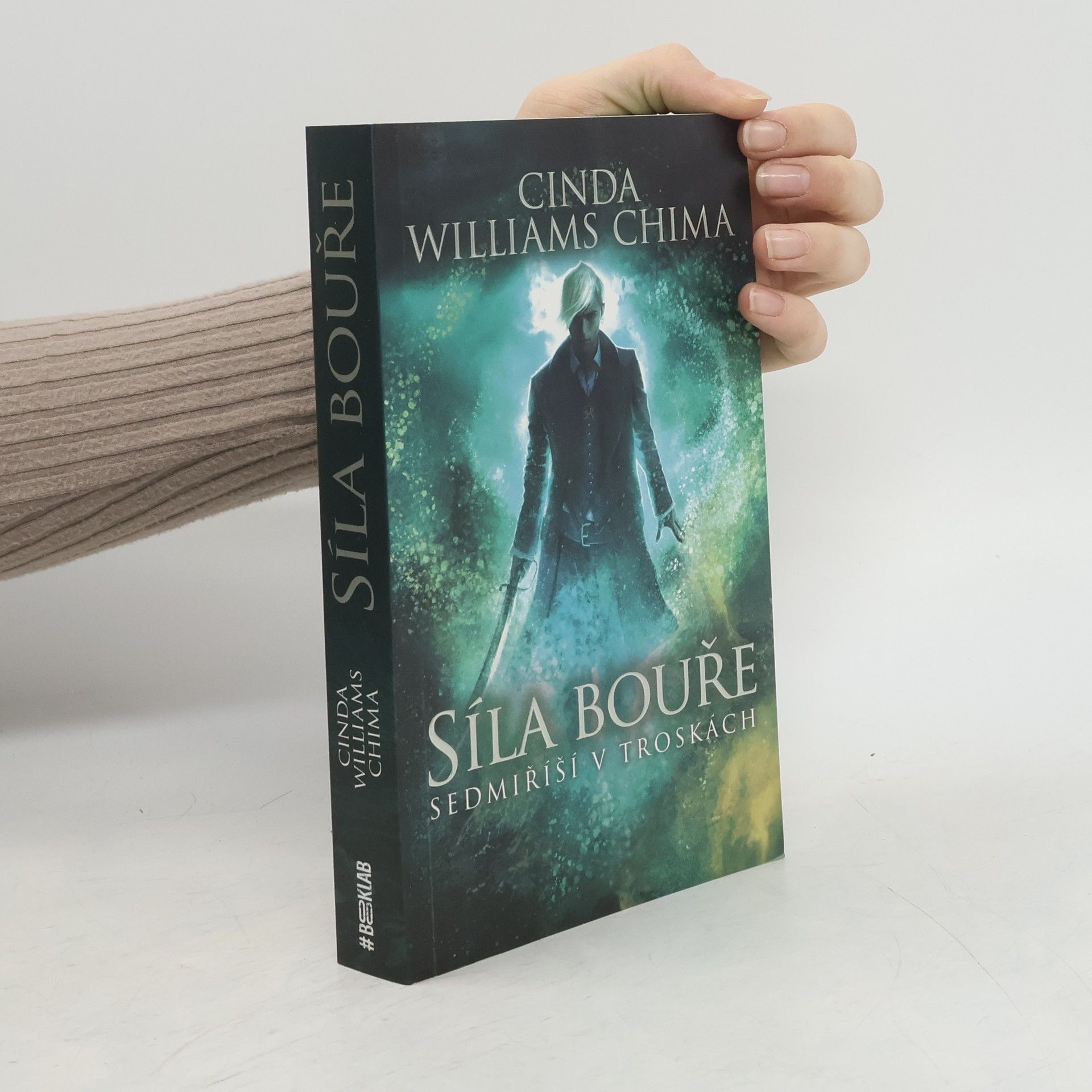 Cinda Williams Chima Sedmiříší v troskách. Síla bouře