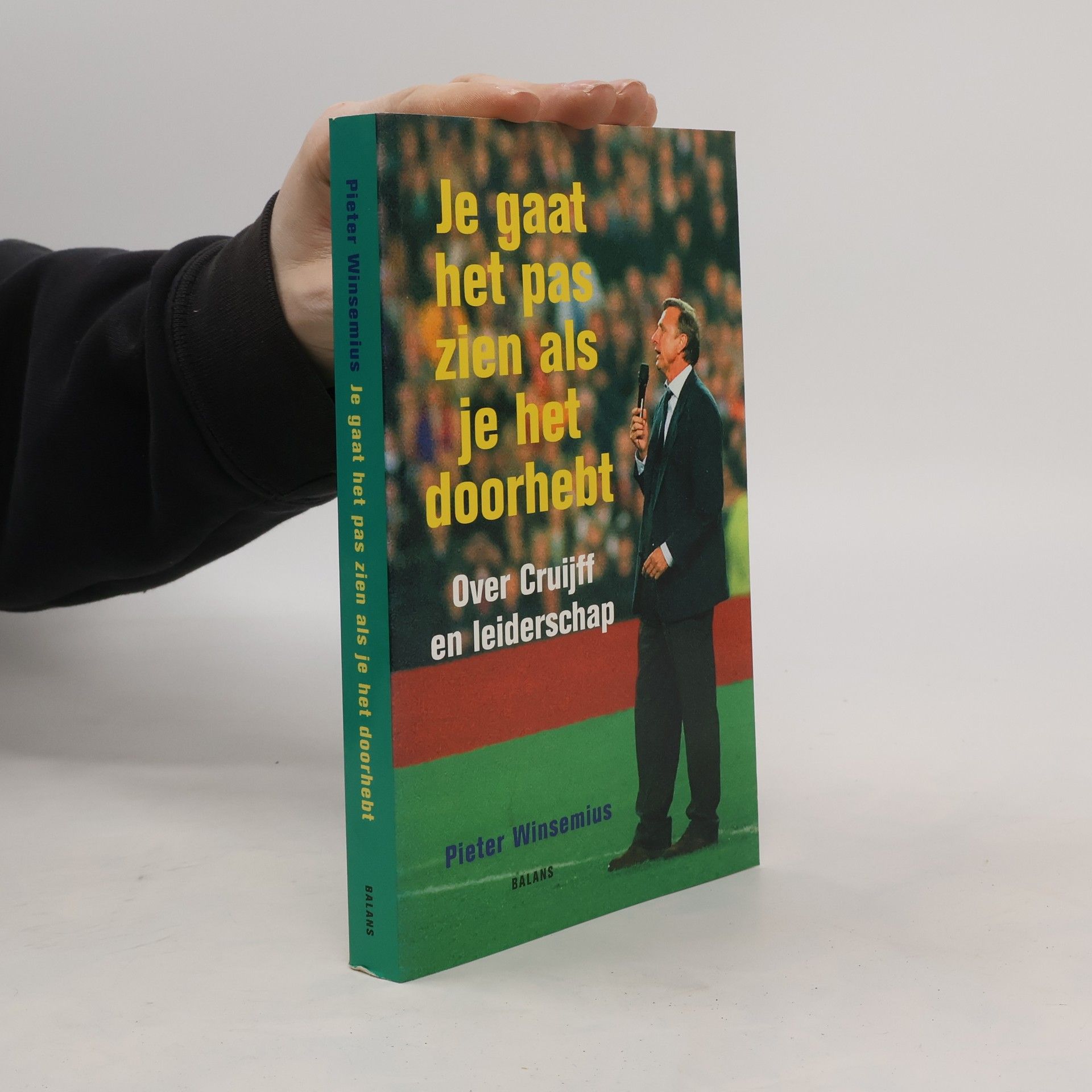 Pieter Winsemius Je gaat het pas zien als je het doorhebt