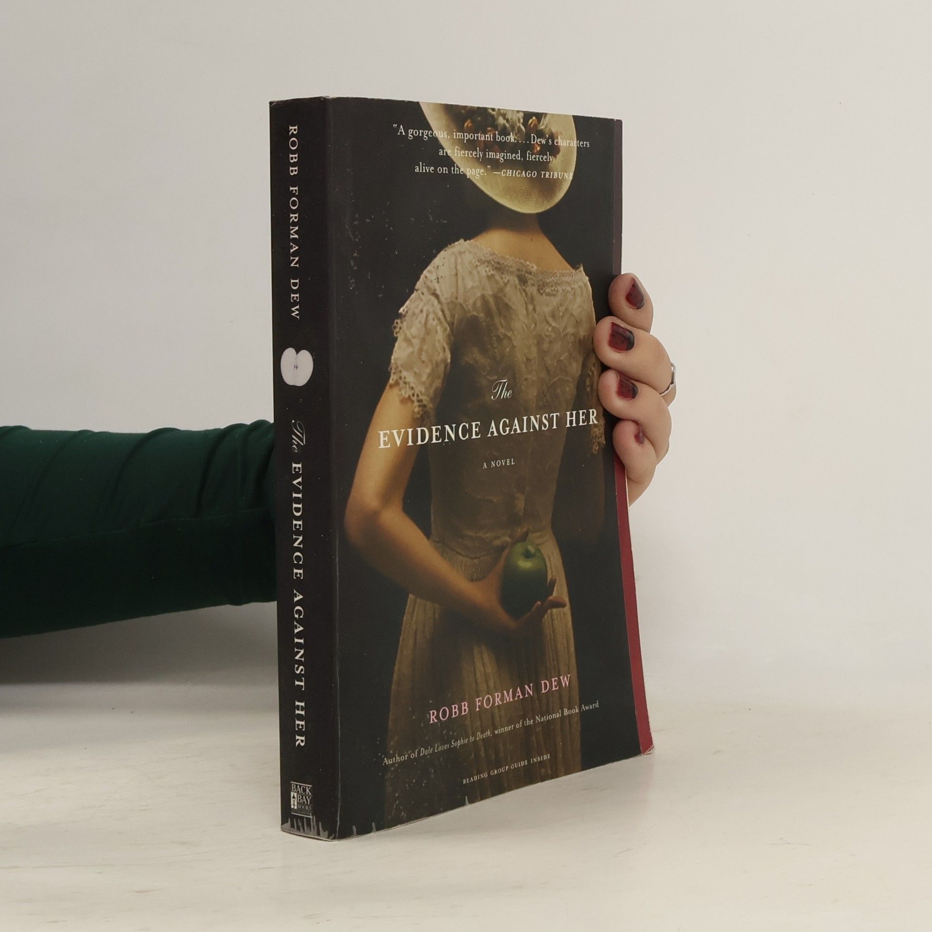 Robb Forman Dew The Evidence Against Her