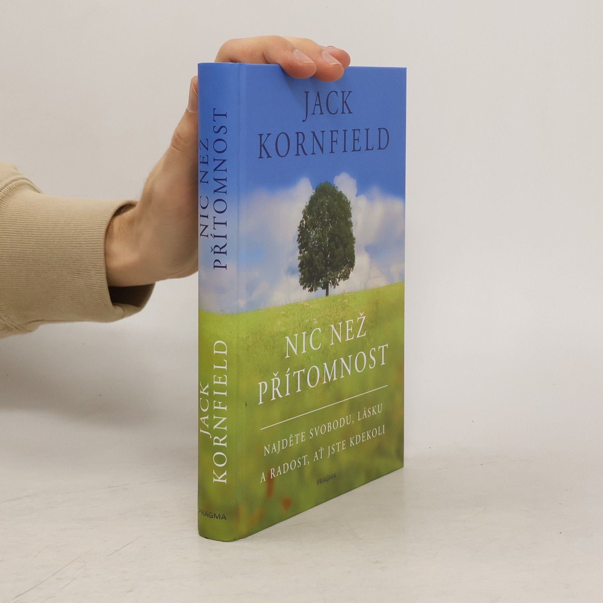 Jack Kornfield Nic než přítomnost