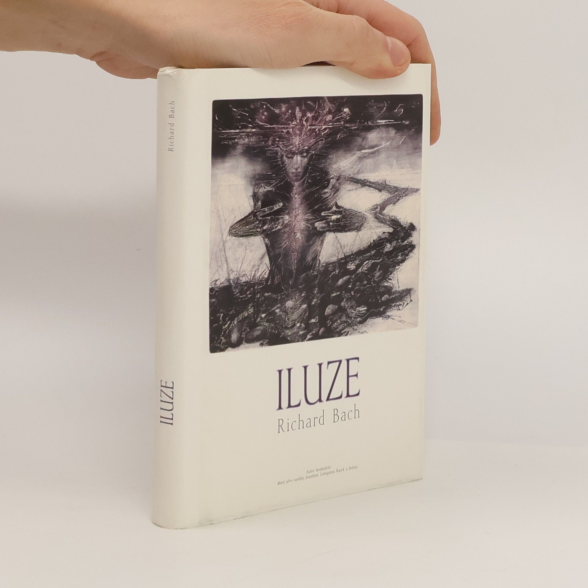 Vladimír Novák Iluze