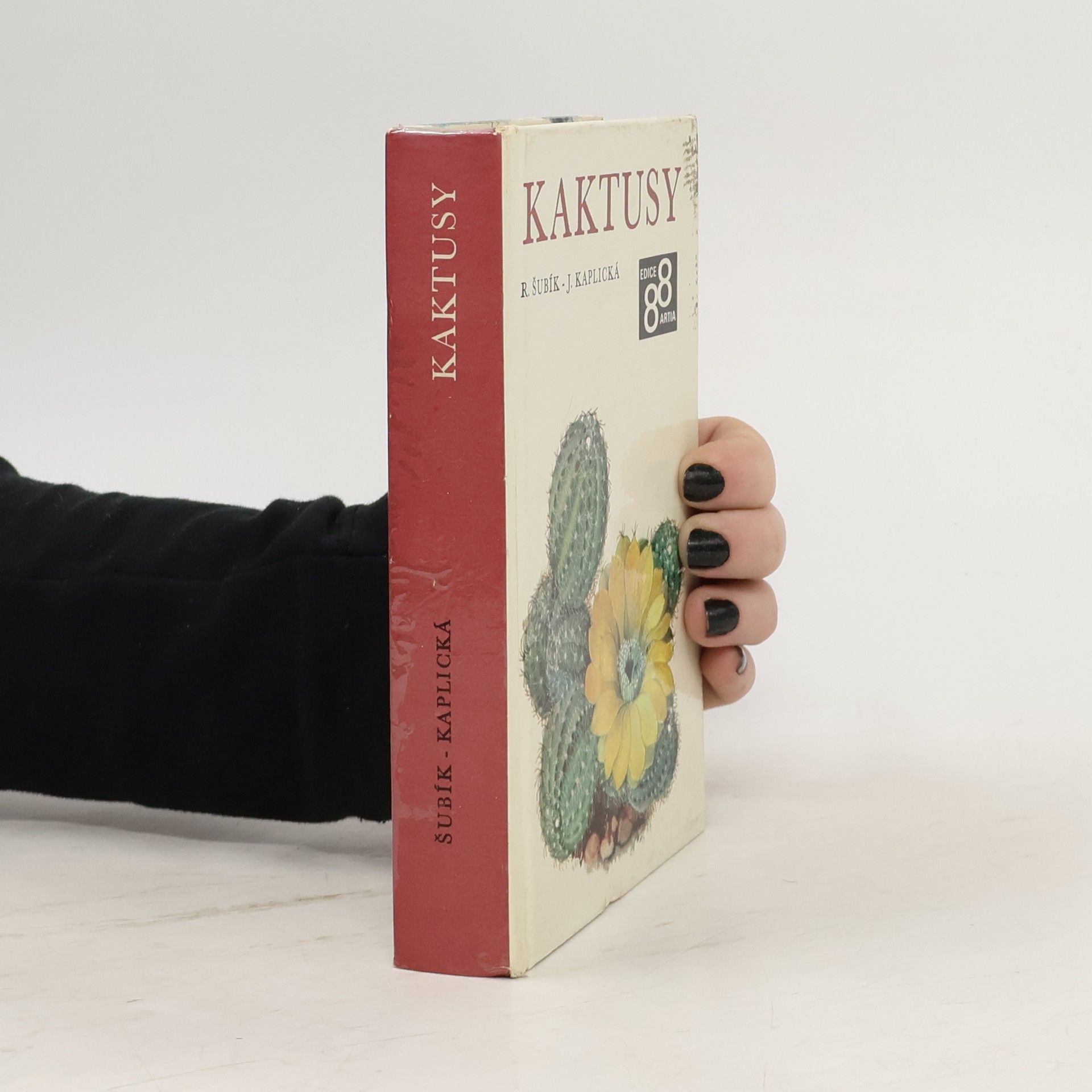 Rudolf Šubík Kaktusy