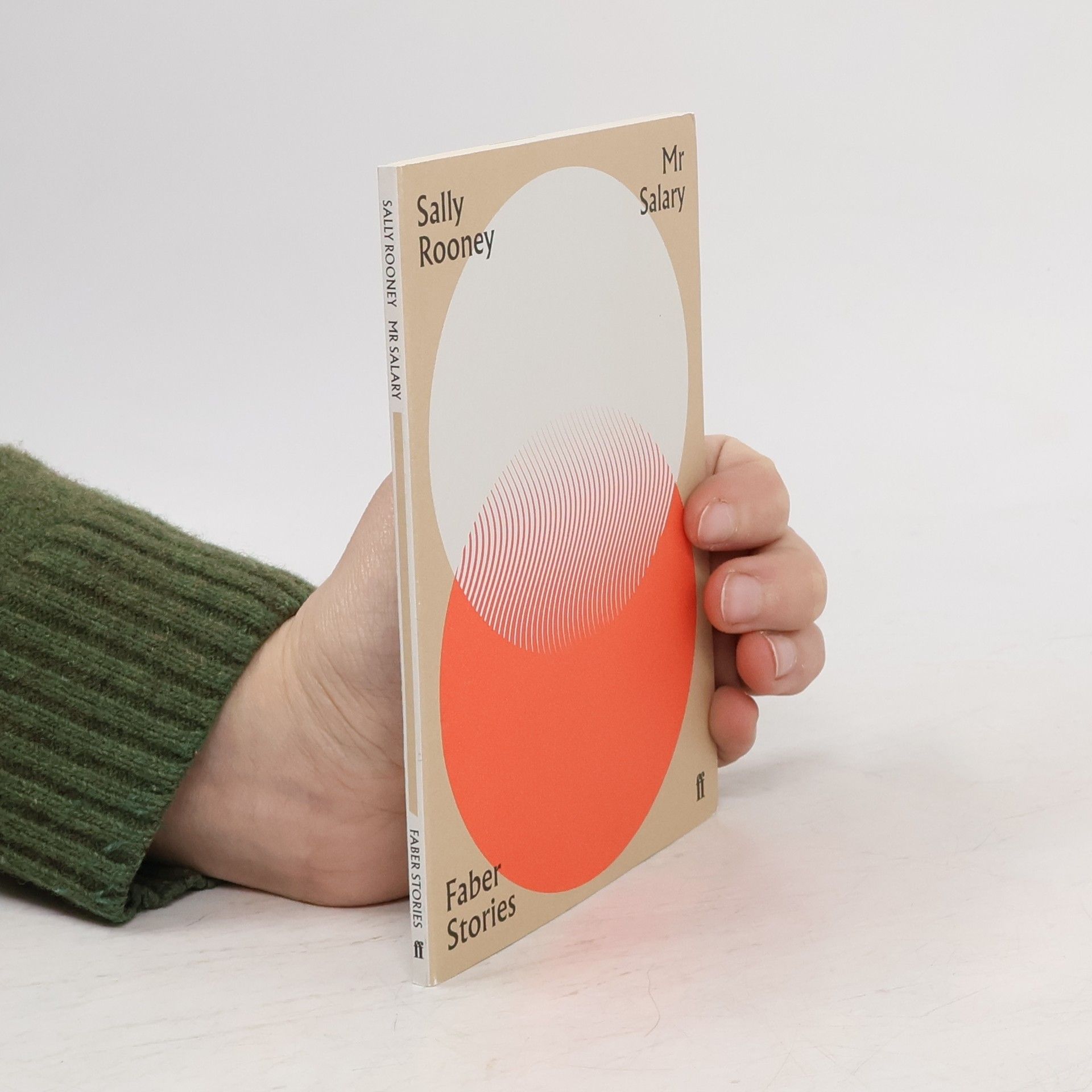 Sally Rooney Mr Salary