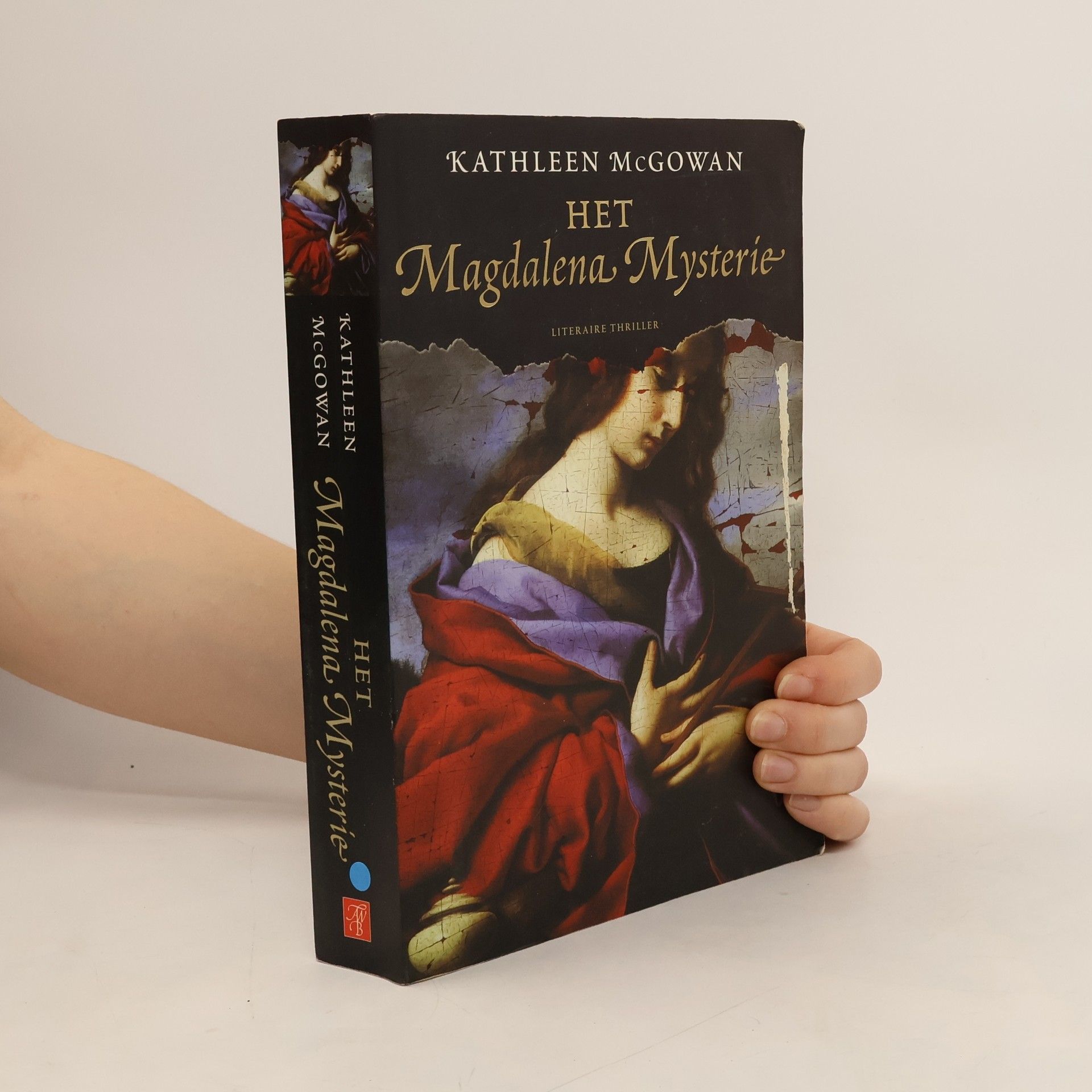 Monique Eggermont Het Magdelena mysterie / druk 1