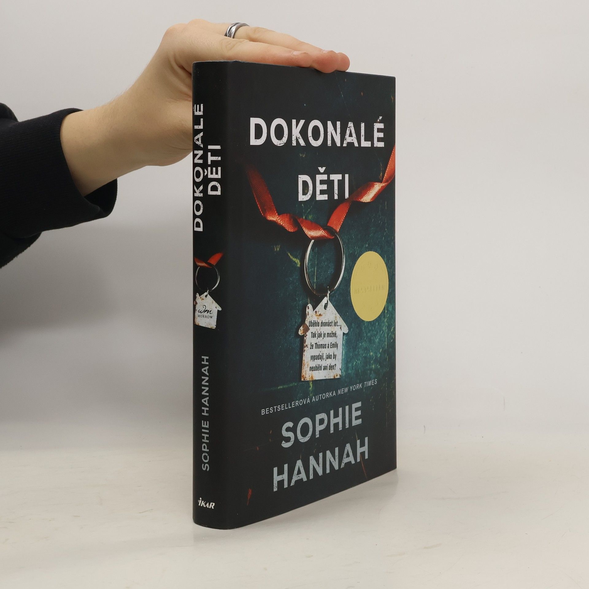 Sophie Hannah Dokonalé děti
