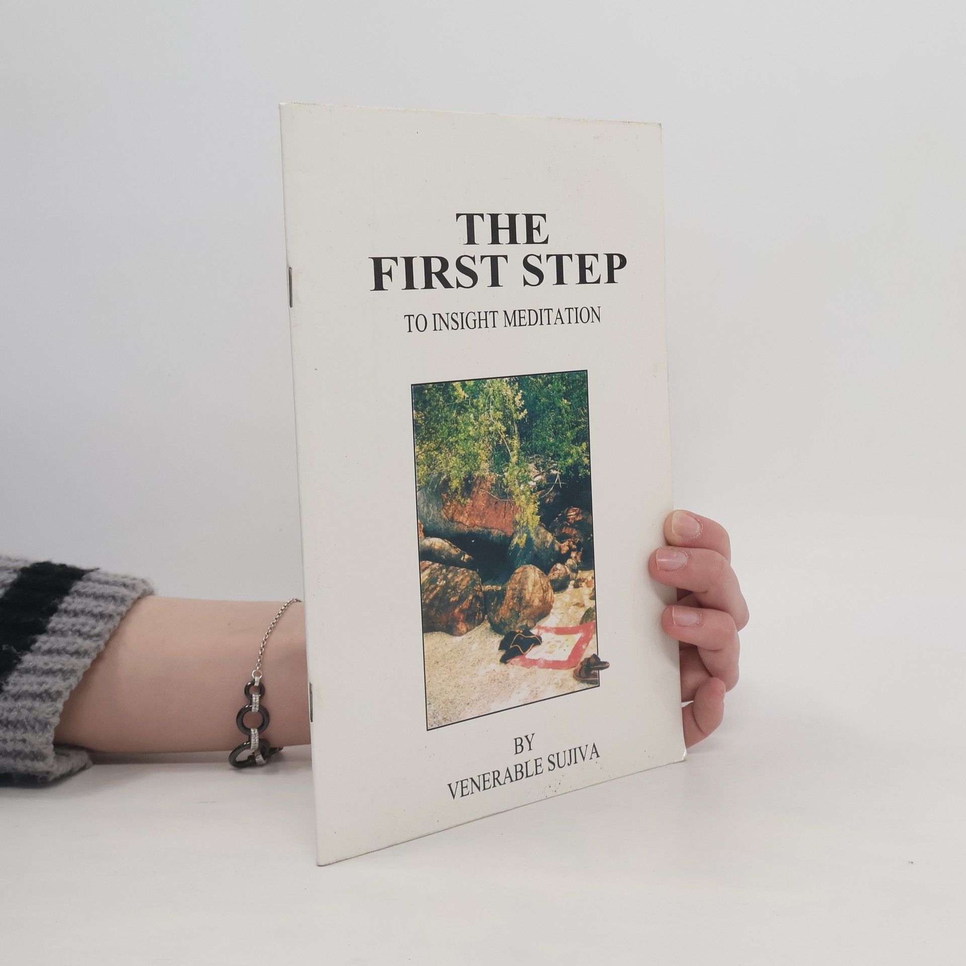 Venerable Sujiva The First Step to Insight Meditation