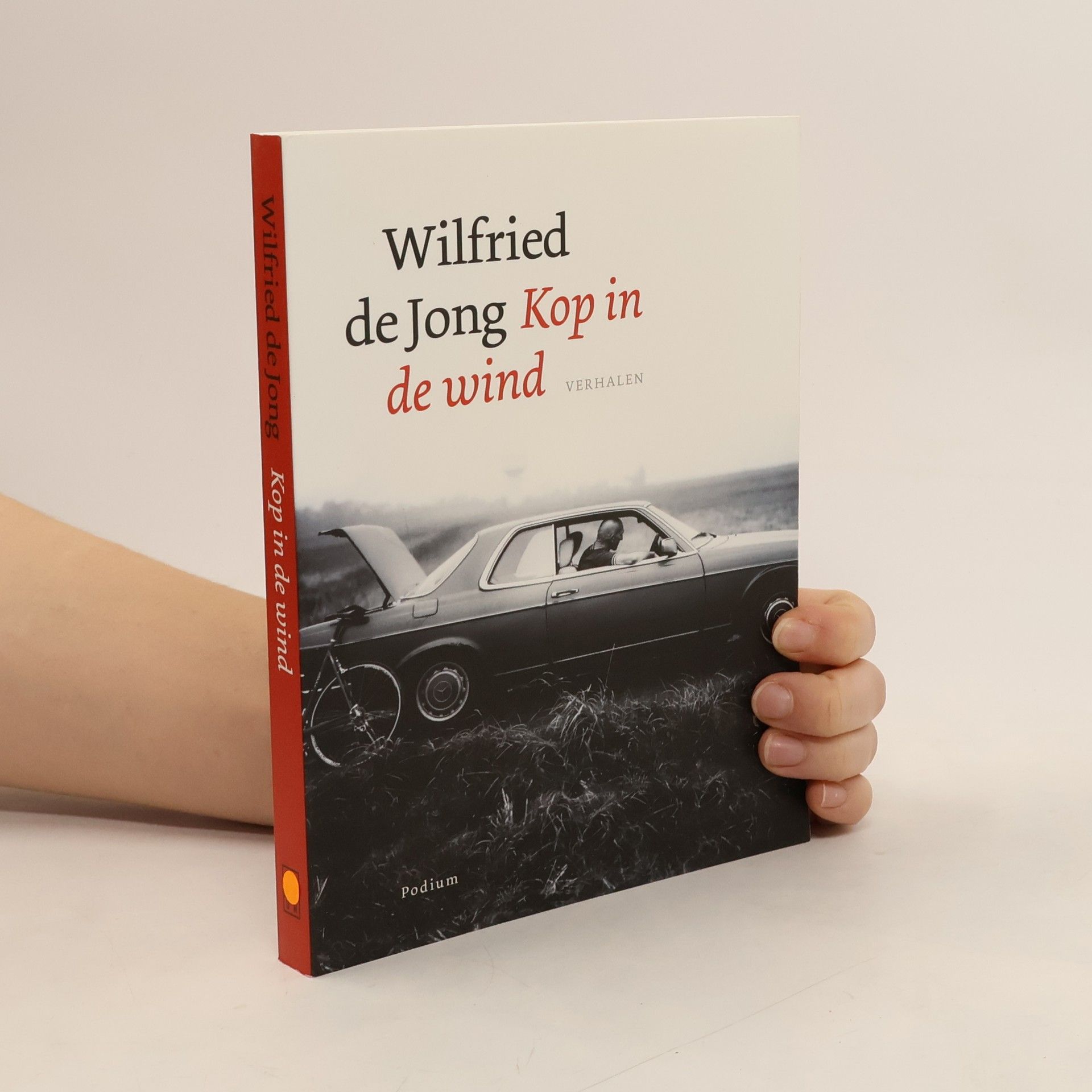 Wilfried de Jong Kop in de wind