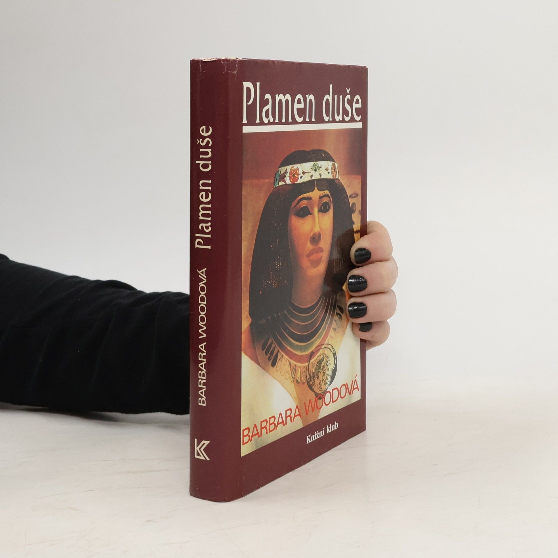 Barbara Wood Plamen duše