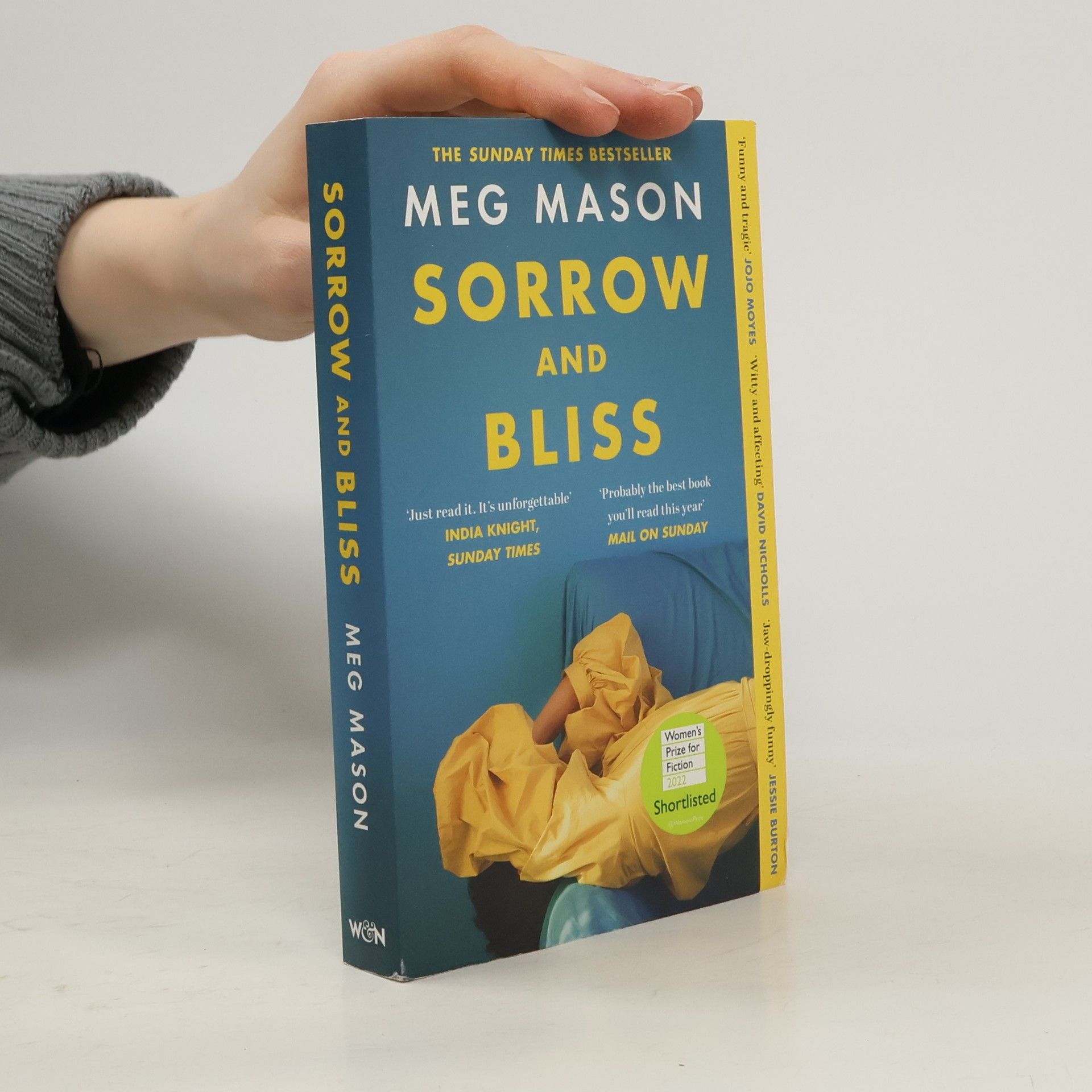 Meg Mason Sorrow and bliss