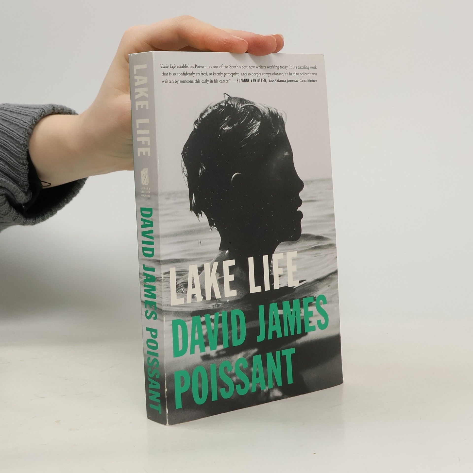 David James Poissant Lake Life