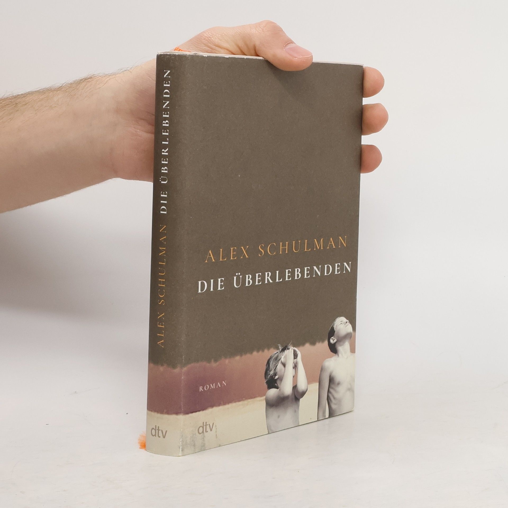 Alex Schulman Die Überlebenden