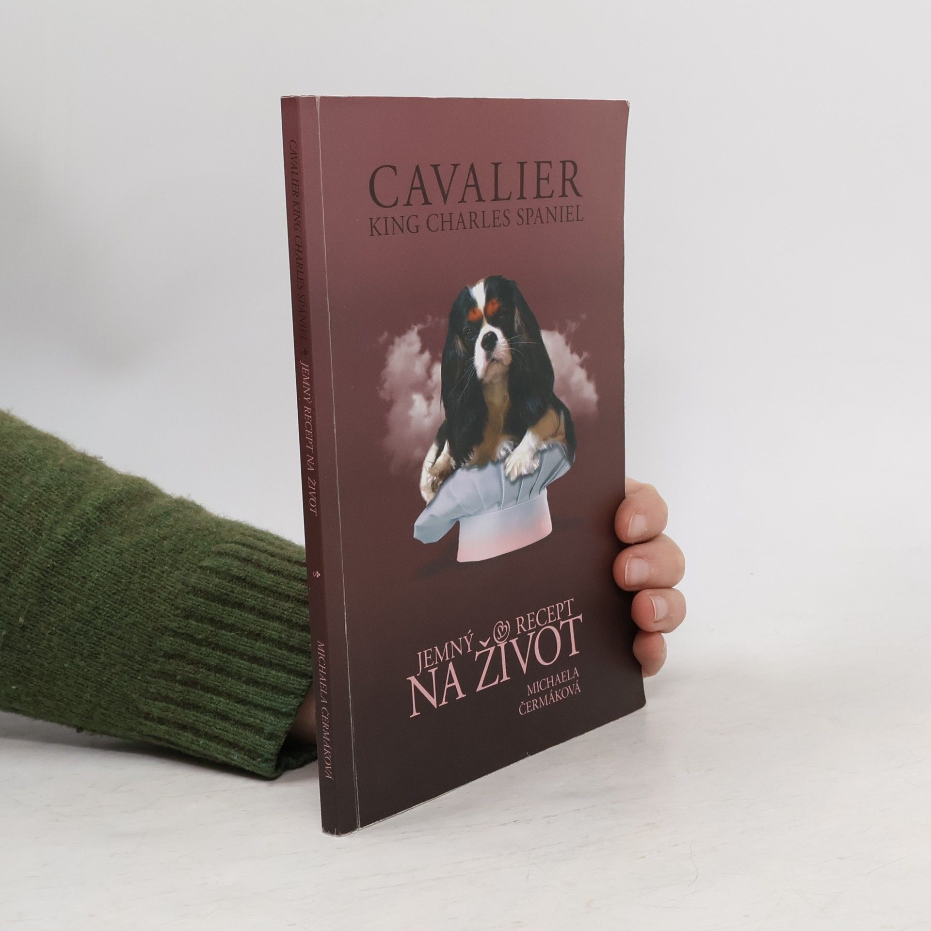 Cavalier King Charles Spaniel. Jemný recept na život