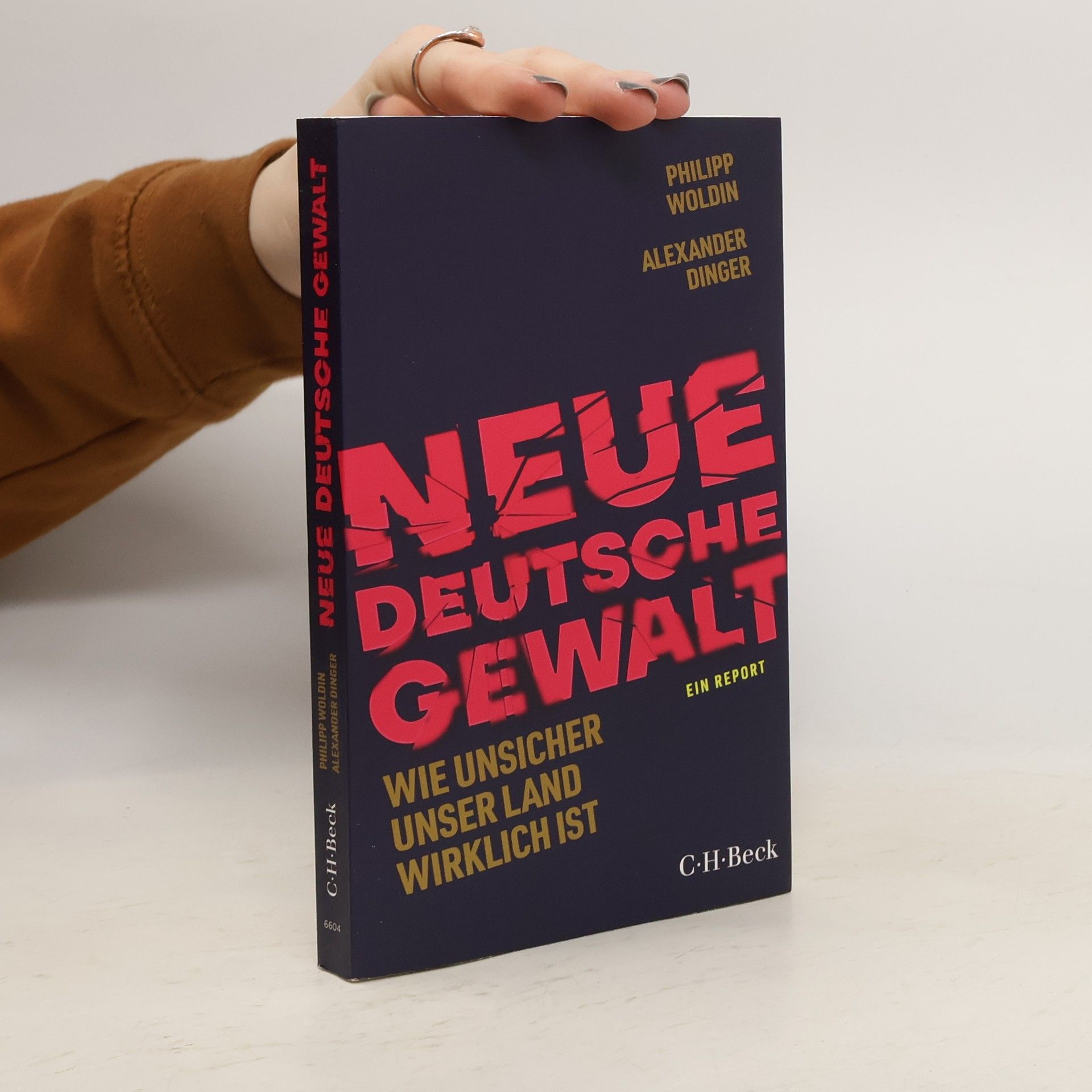 Philipp Woldin Neue deutsche Gewalt