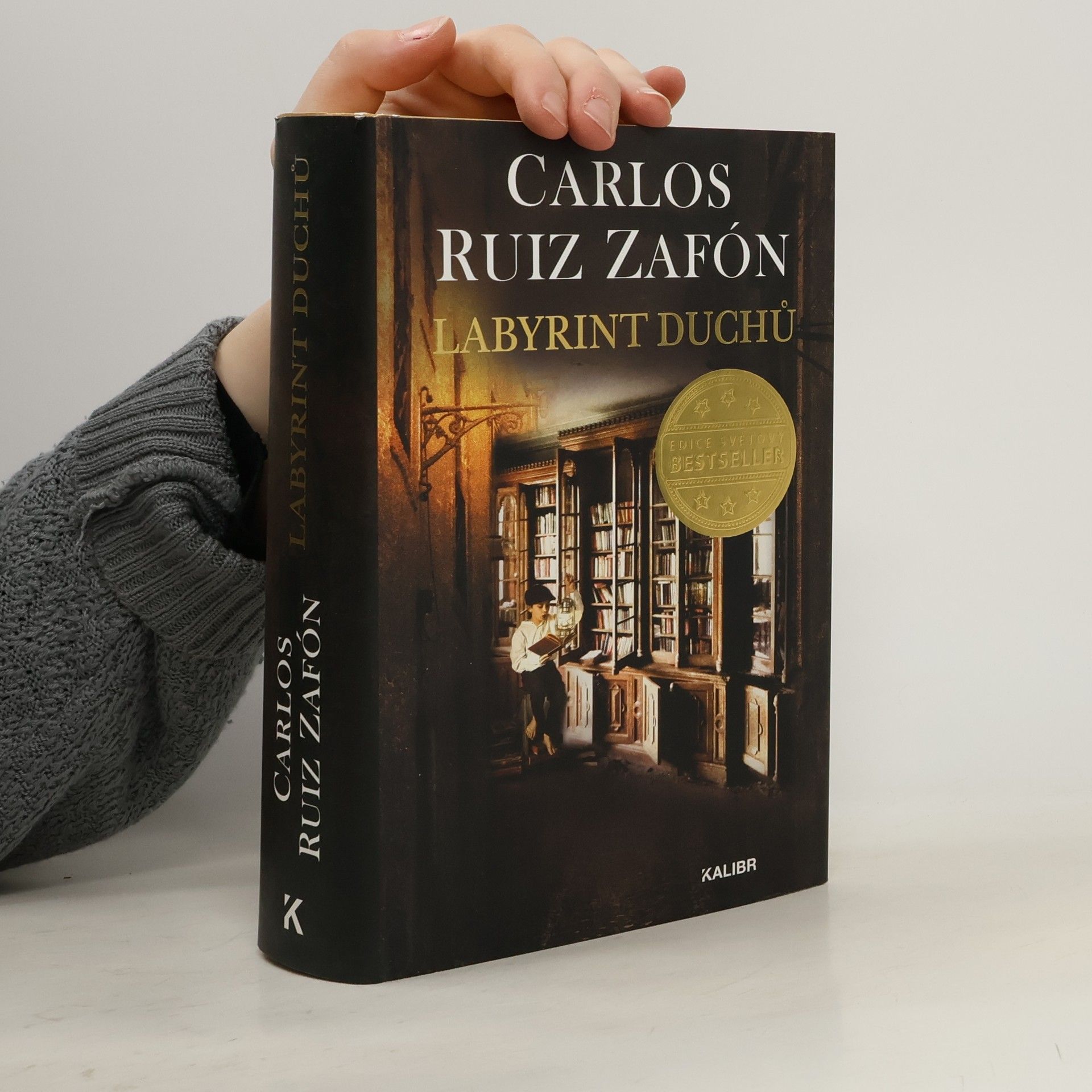 Carlos Ruiz Safon Labyrint duchů