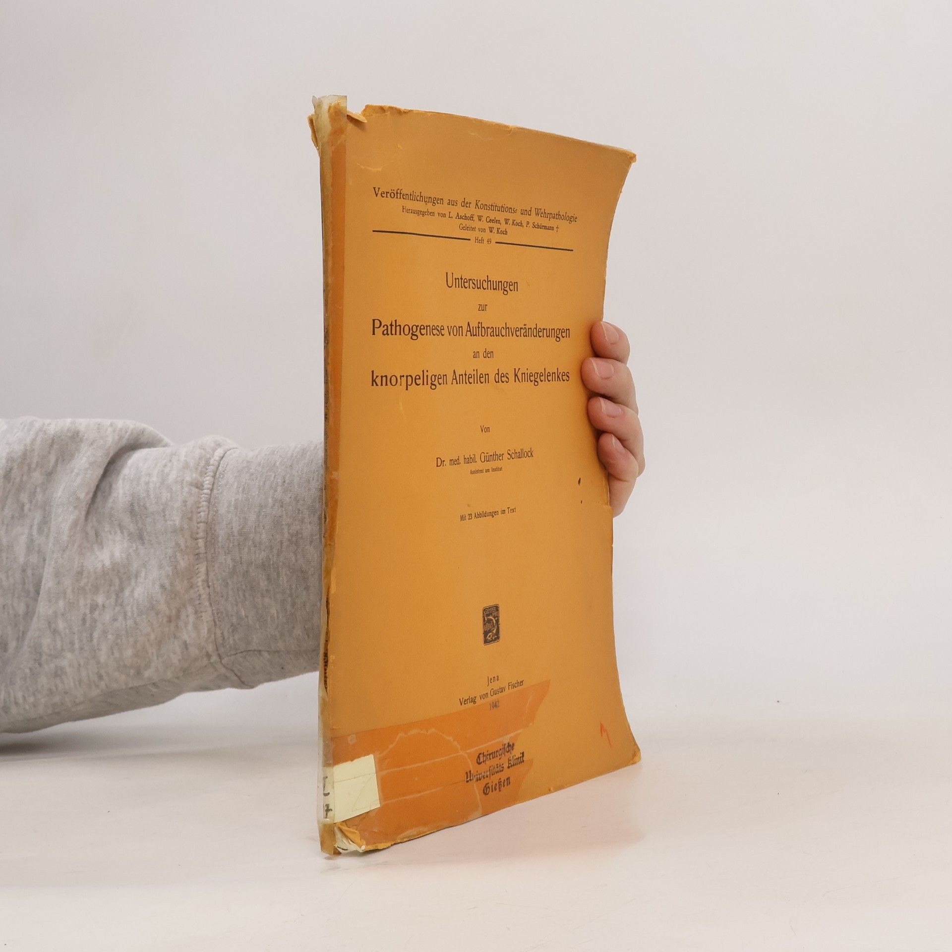 Gunther Schallock Untersuchungen Zur Pathogenese von Aufbrauchveränderungen an den knorpeligen Anteilen des Kniegelenkes